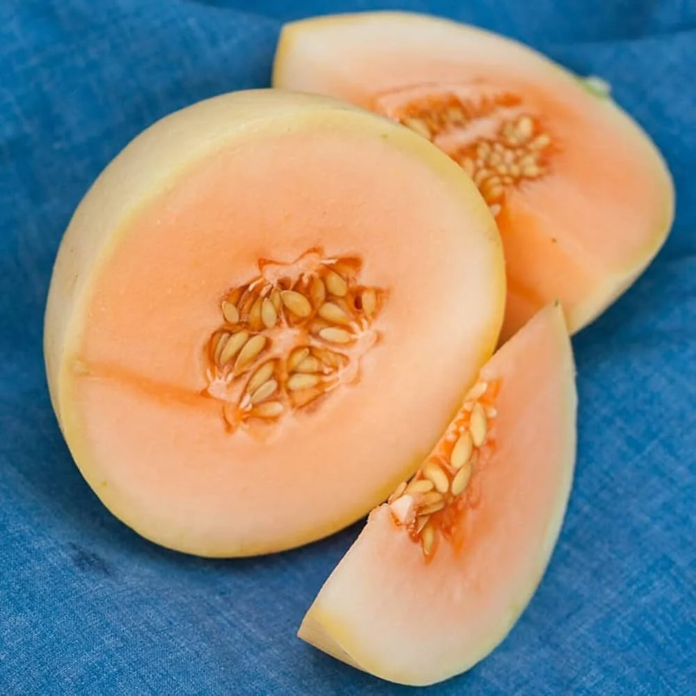 Honeydew Melon Seeds - Image 3