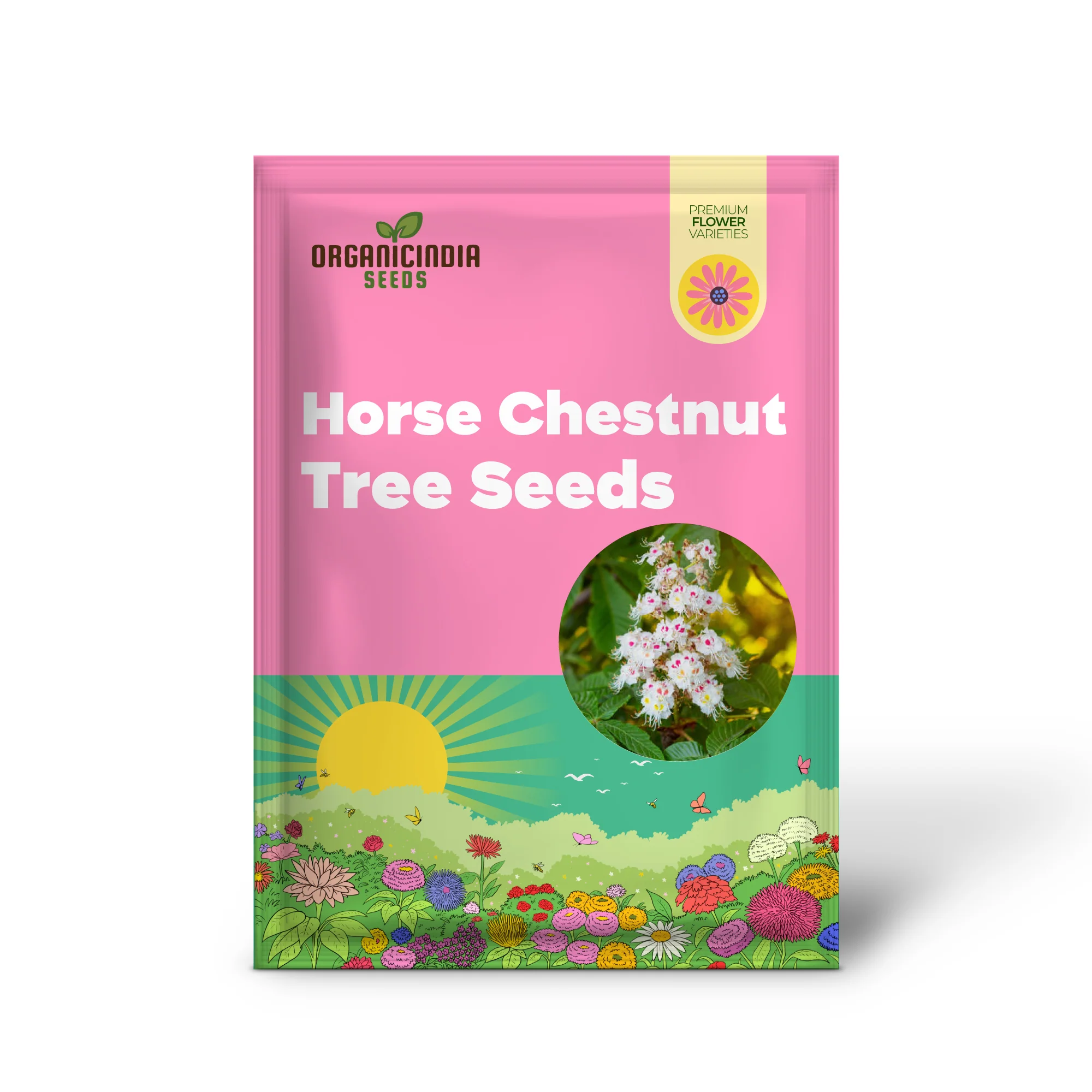 Horse Chestnut Seeds (Horse Chestnut Tree Seeds) - Stunning Foliage and Beautiful Spring Blossoms - Image 4
