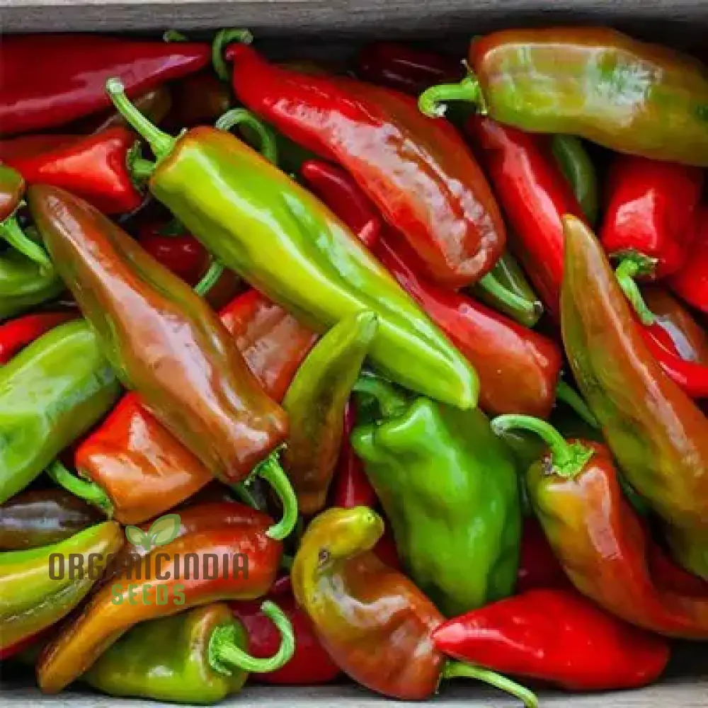 Hot Pepper Seeds - Anaheim Chili for Vibrant Flowers | Ideal for Planting in Your Garden - Image 3