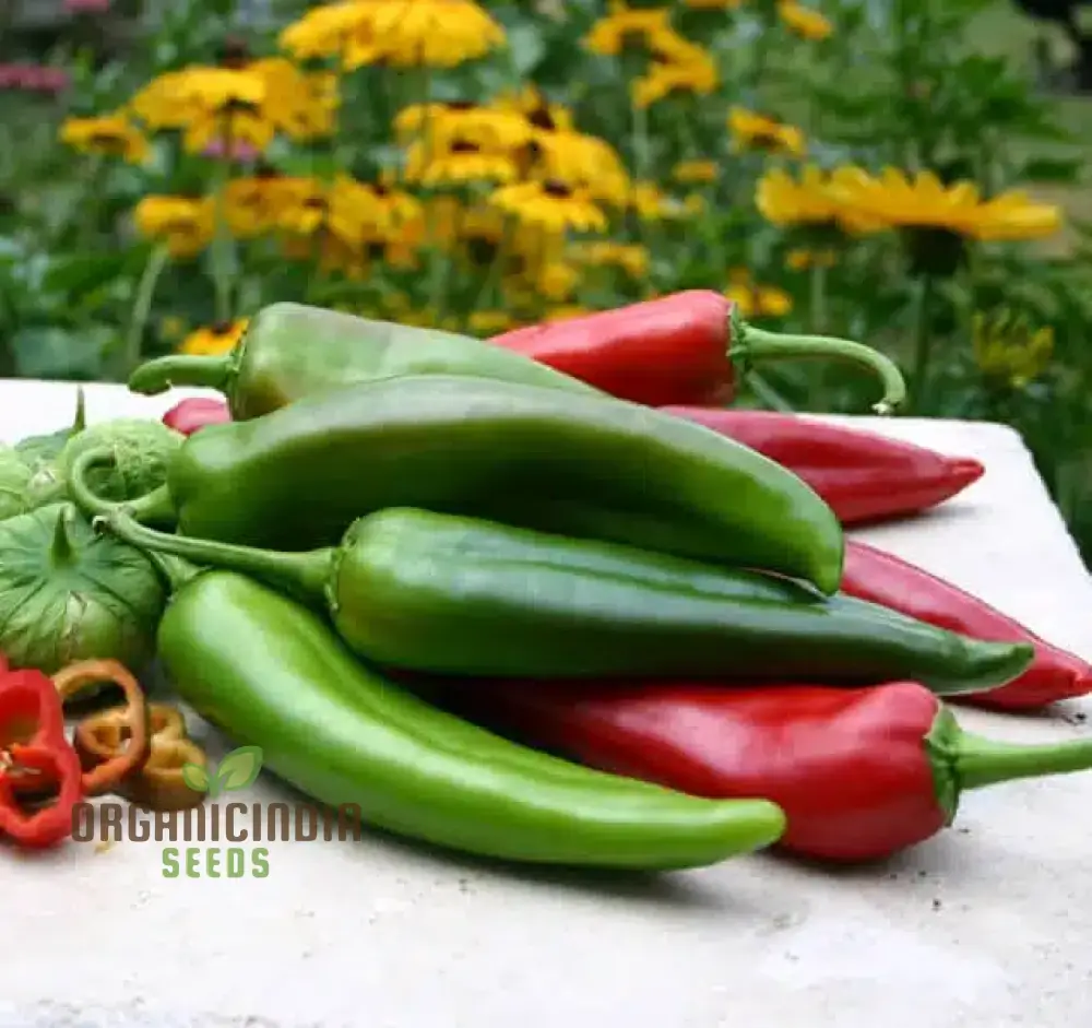 Hot Pepper Seeds - Anaheim Chili for Vibrant Flowers | Ideal for Planting in Your Garden - Image 4