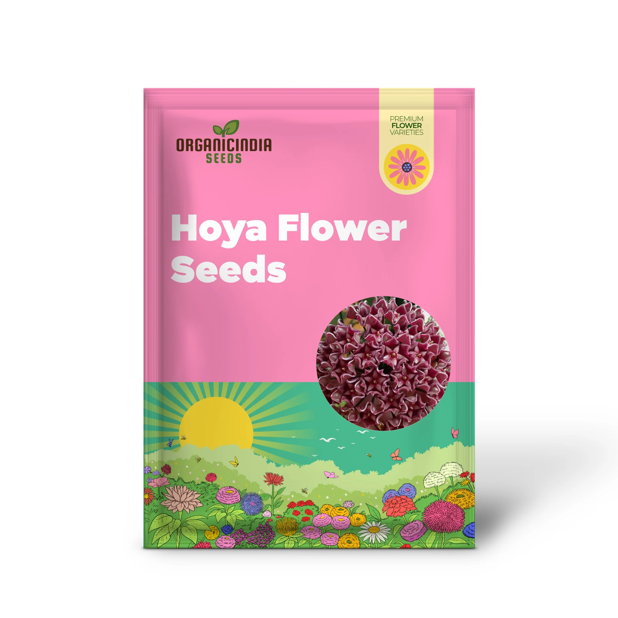 Hoya Flower Seeds for Beautiful Planting - 100 pcs - Image 2