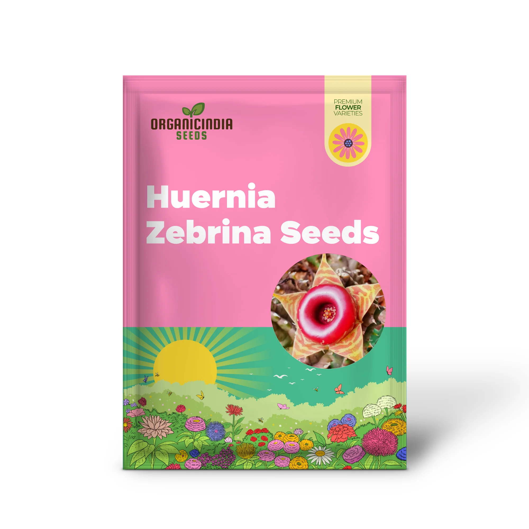 Huernia Zebrina Lifesaver Cactus Seeds for Gardening Enthusiasts - Exotic Succulent Seeds - Image 2