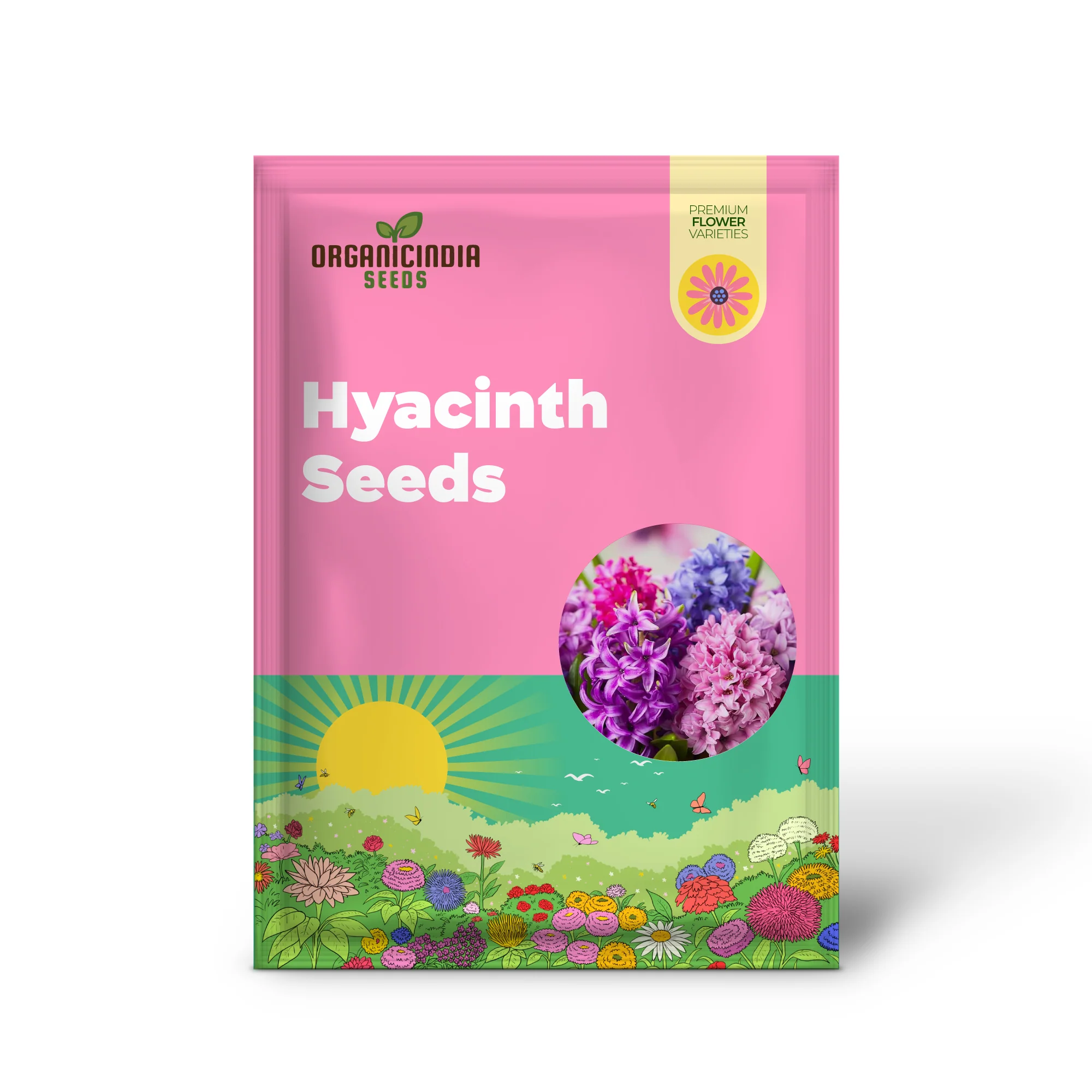 Hyacinth Seeds - Hyacinthus Orientalis, Perennial & Non-GMO, Low Maintenance with Exotic Eye Appeal - 100 Pcs - Image 2