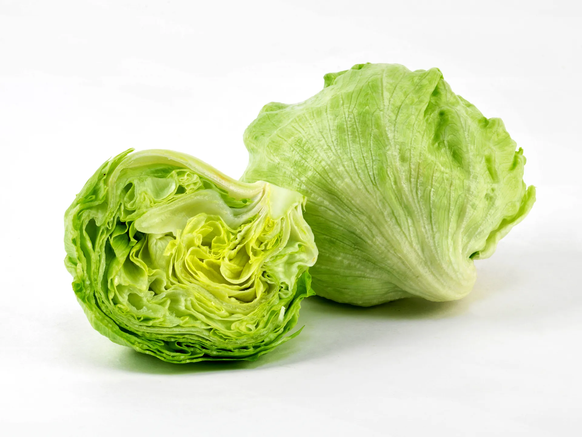 Iceberg Lettuce Seeds – Crisp, Fresh, & High-Yielding Garden Variety - Image 3