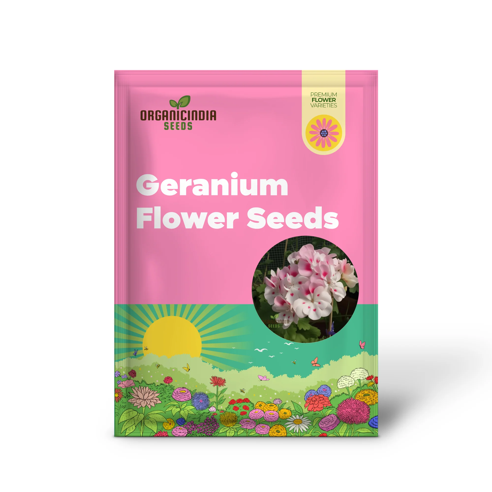 Geranium Flower Seeds for Planting – White Blooms with Pink Accents for Garden Beds, Borders, Pots, Balcony Containers & Outdoor Landscaping - Image 2