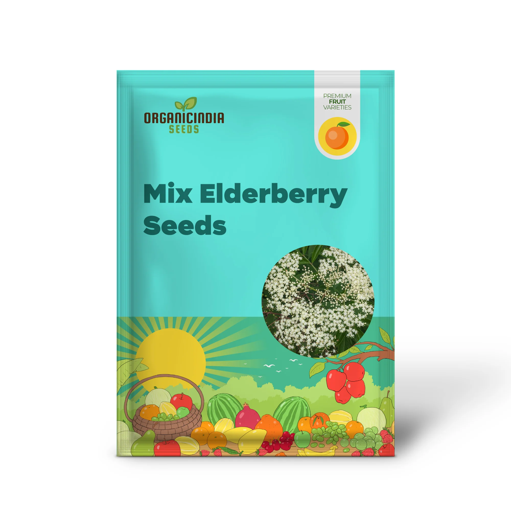 Improved Cultivar Mix Elderberry (Sambucus nigra) – Seeds - Image 2