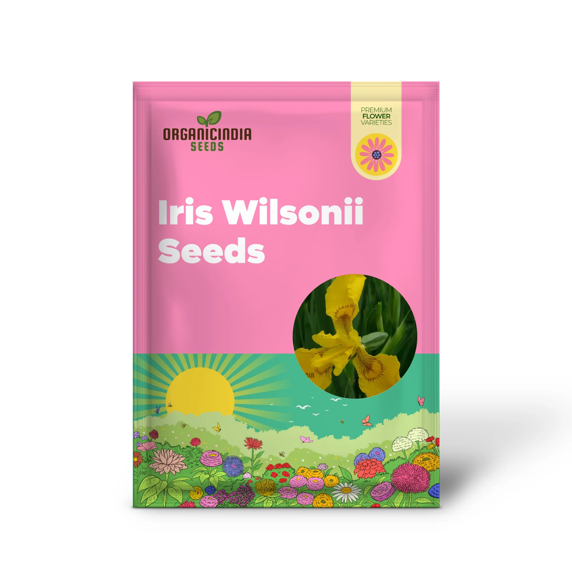 Iris Wilsonii Seeds – Elevate Your Garden with Stunning, Graceful Blooms! - Image 2