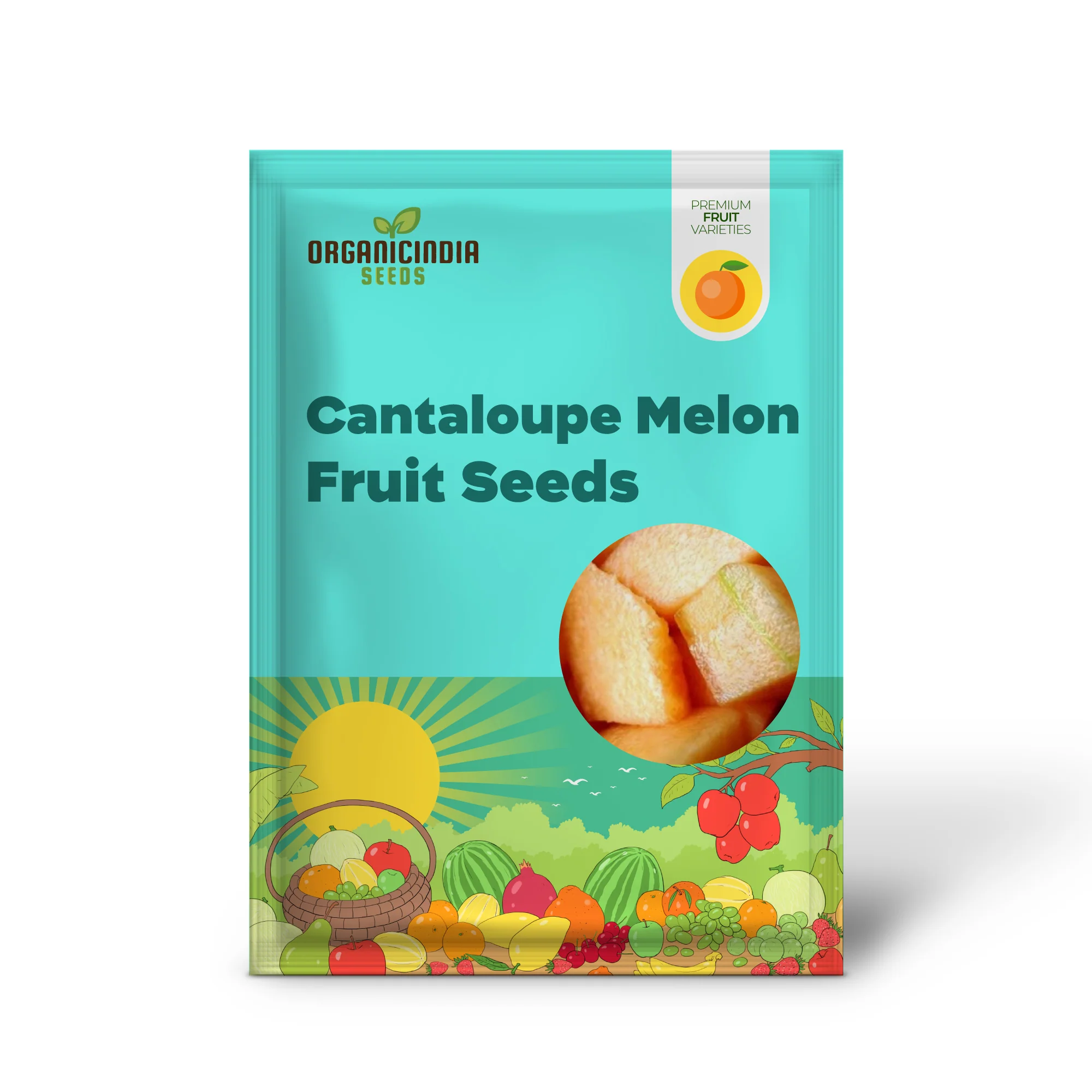 Iroquois Cantaloupe Melon (Cucumis melo) – Fruit Seeds - Image 2