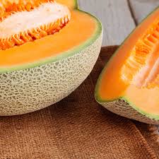 Iroquois Cantaloupe Melon (Cucumis melo) – Fruit Seeds - Image 4