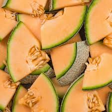 Iroquois Cantaloupe Melon (Cucumis melo) – Fruit Seeds - Image 5