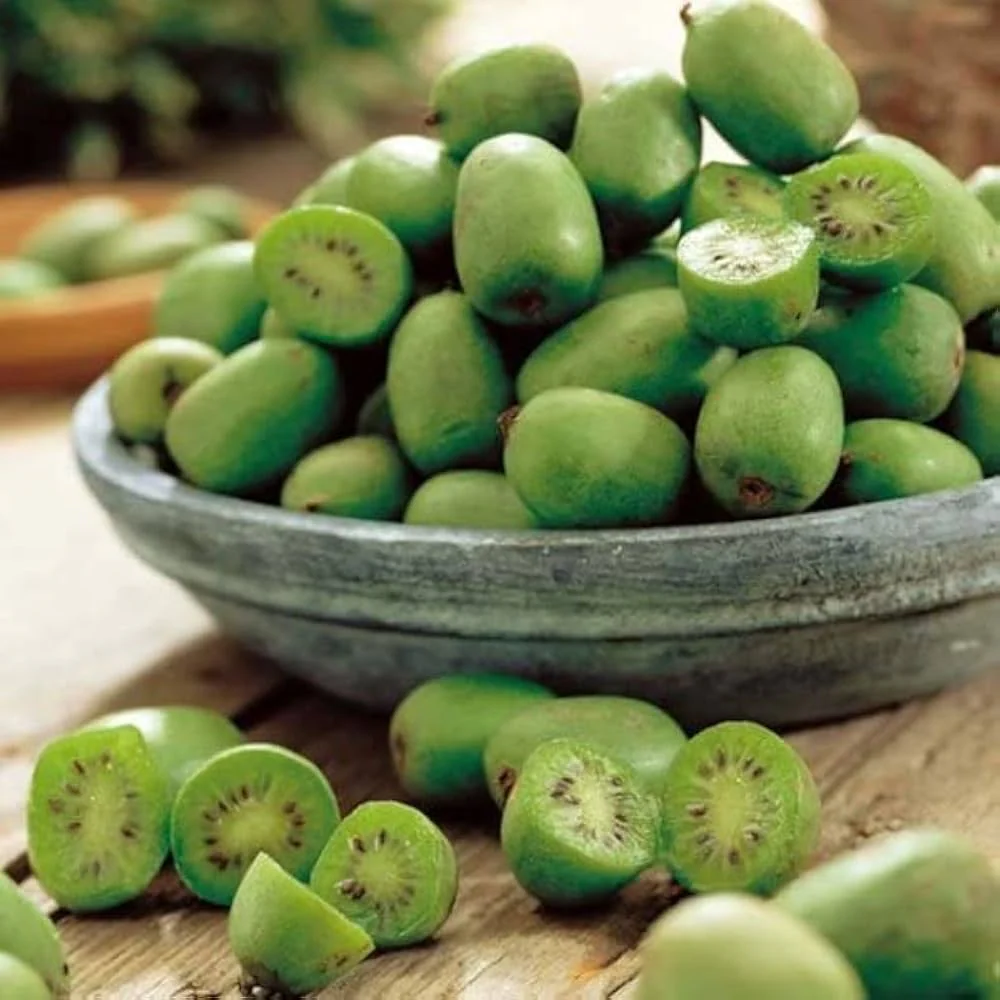 Issai Kiwi Seeds for Planting – Grow Sweet & Self-Pollinating Kiwi Fruits