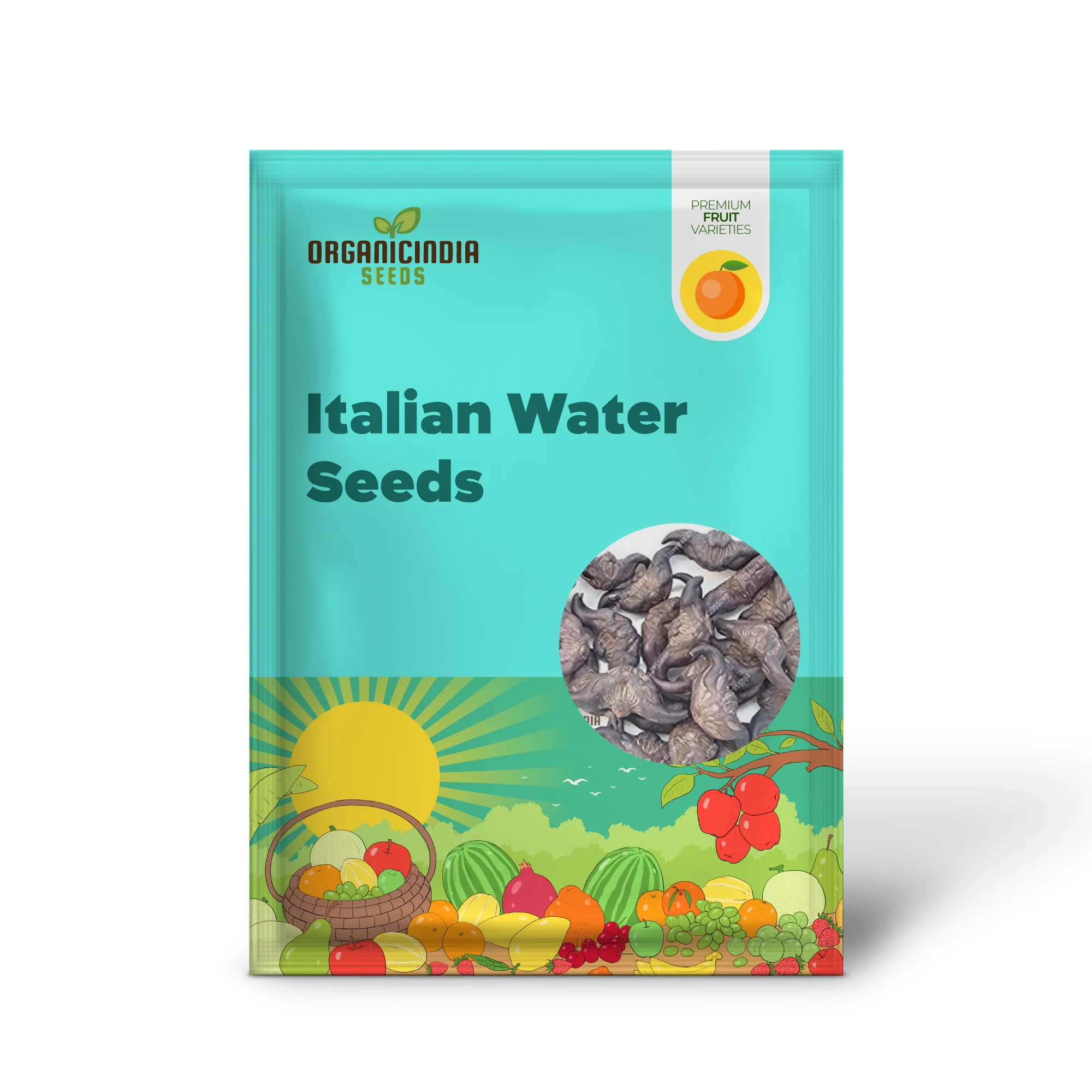 Italian Water Vegetable Seeds, Planting - Image 2