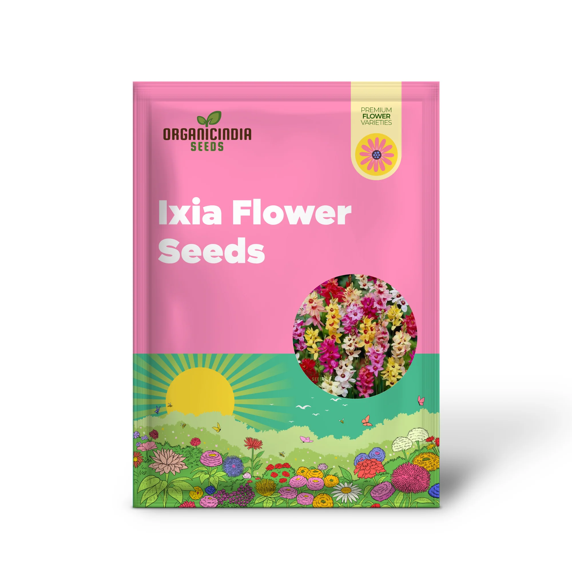 Ixia Flower Seeds For Planting, Vibrant Blooms for Beautiful Garden Displays - Image 2