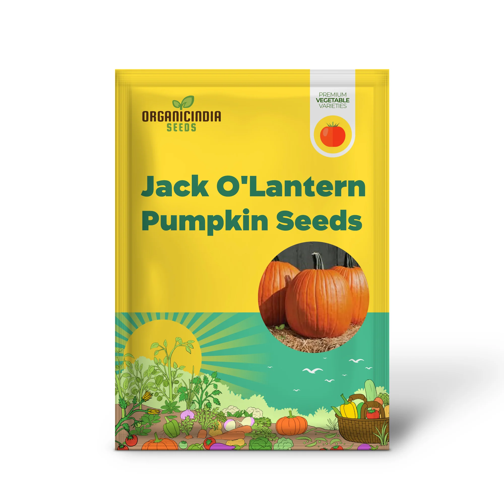 Jack O'Lantern Pumpkin Seeds - Premium Quality Seeds for Gardening | Perfect for Fall Decor - Image 2