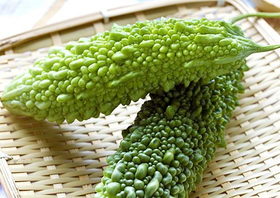 Japanese Bitter Gourd Seeds – Heirloom, High Yield, Bitter Melon for Home Gardening