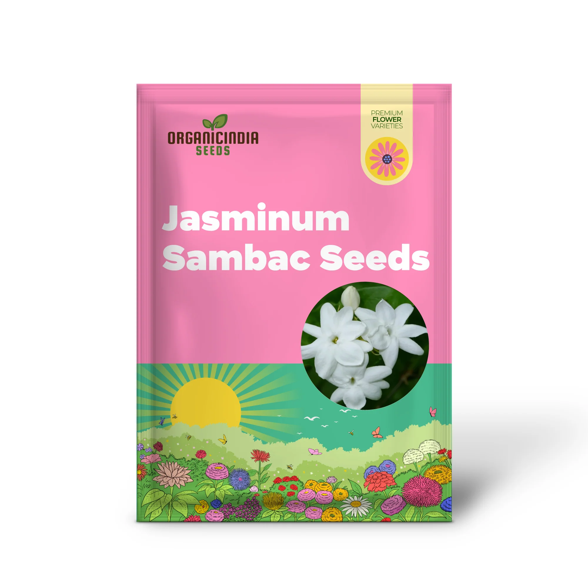 Jasminum Sambac Seeds Arabian Jasmine, Fragrant Broadleaf Evergreen for Patio Borders And Outdoor Gardens, Low Maintenance Flower Seeds - Image 2