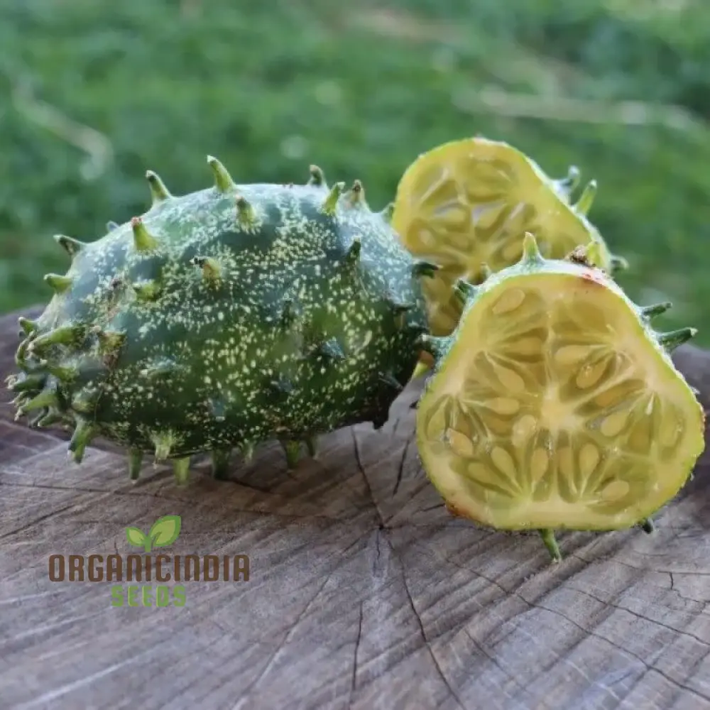 Jelly Melon Cucumber Seeds - Grow Unique and Exotic Jelly Melon Cucumbers for Your Garden - Image 4