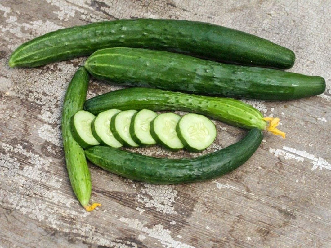 Jibai Shimoshirazu Cucumber Seeds – Rare Heirloom, High-Yield, Crisp & Sweet - Image 2