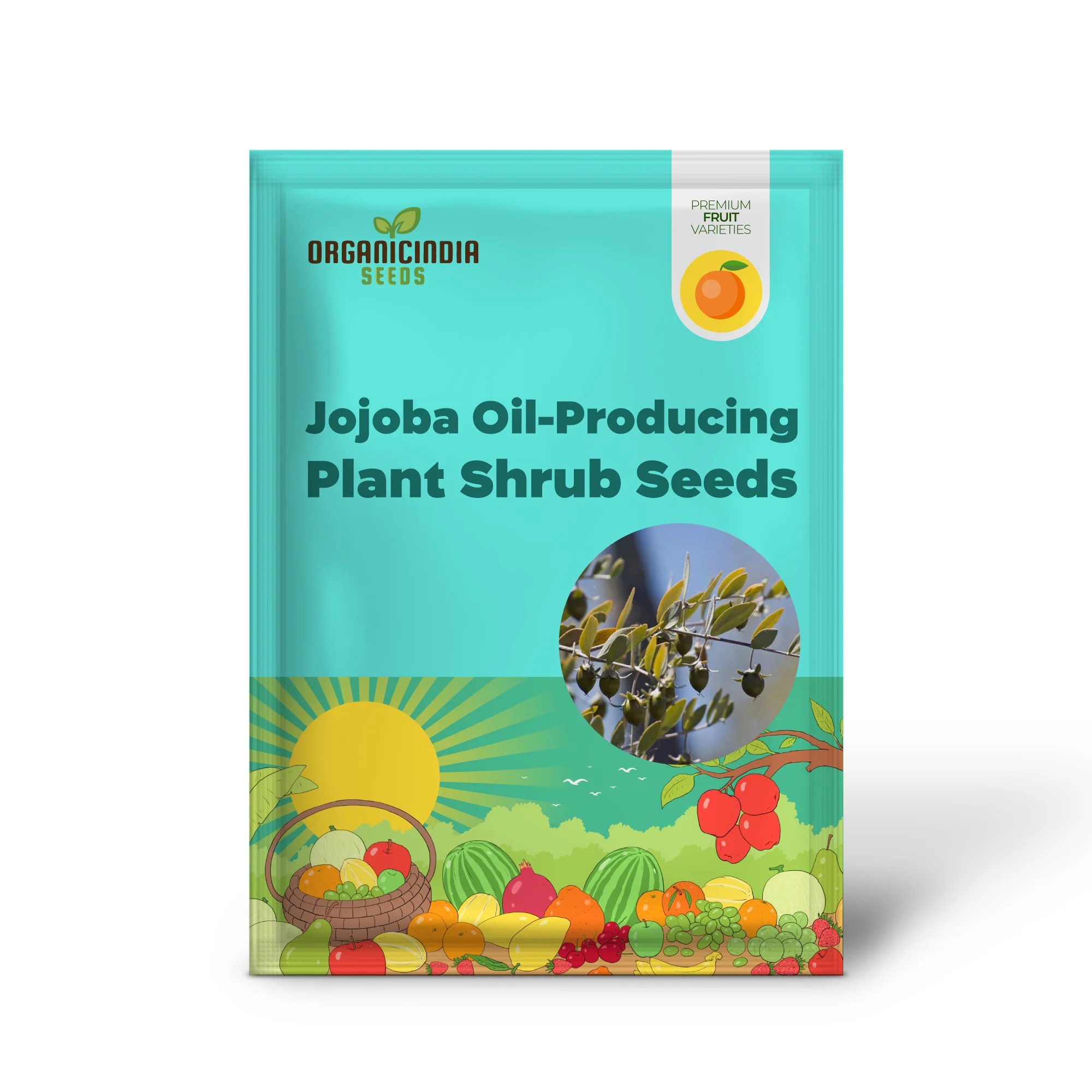 Jojoba Oil-Producing Plant Shrub Seeds - Image 2