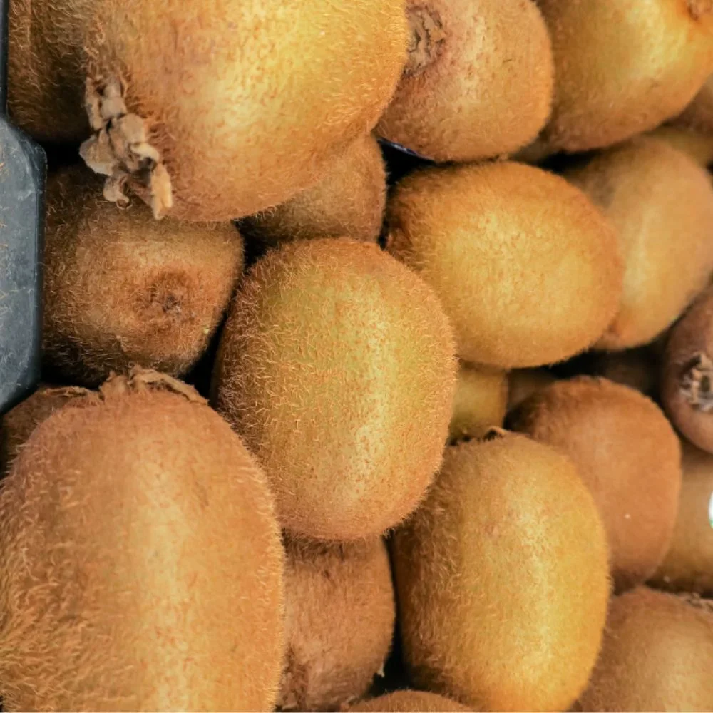 Jumbo Kiwi Seeds for Planting – Grow Large & Juicy Kiwi Fruits