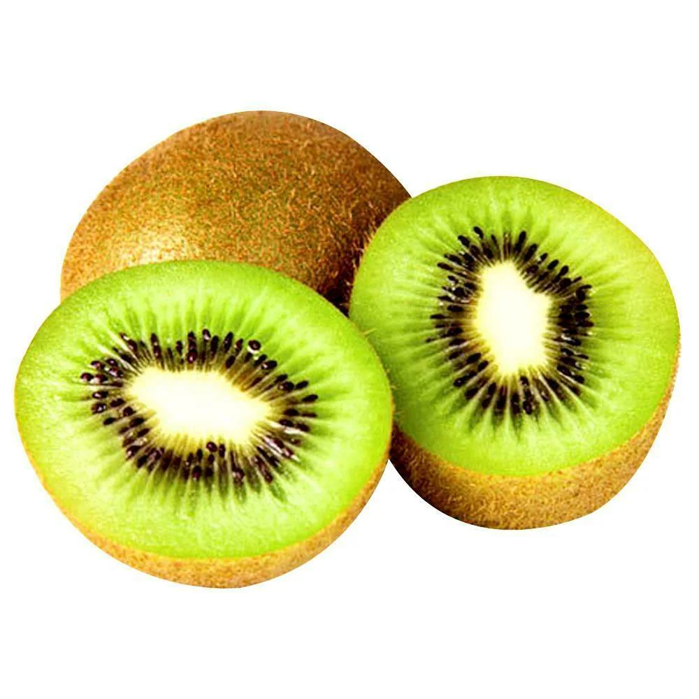 Jumbo Kiwi Seeds for Planting – Grow Large & Juicy Kiwi Fruits - Image 2