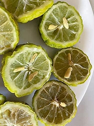 Kaffir Lime Tree Seeds for Planting–Flowering & Fruiting Variety, Guaranteed Quality - Image 7
