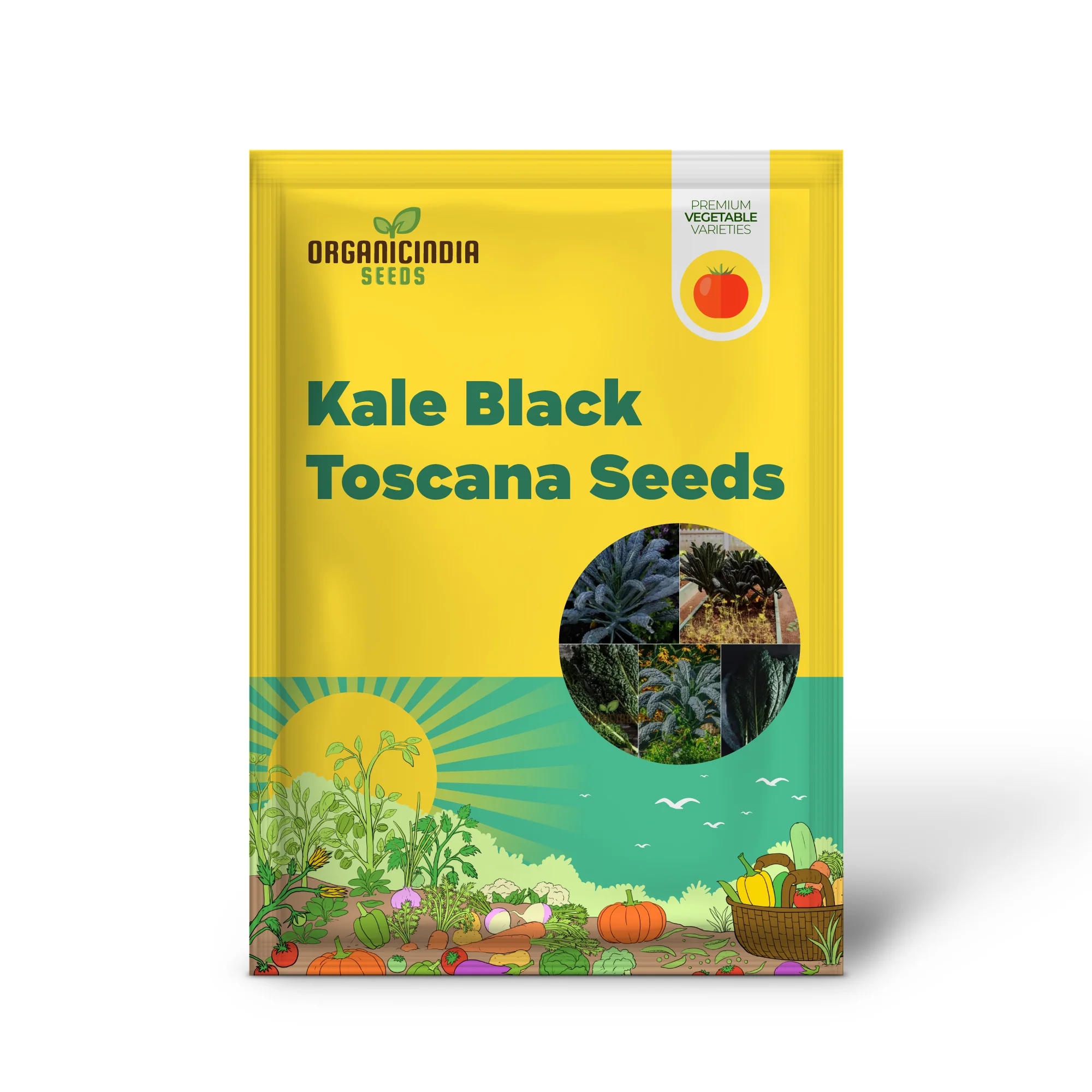 Kale - Black Toscana Vegetable Seeds For Planting, Grow Nutritious and Flavorful Kale - Image 2