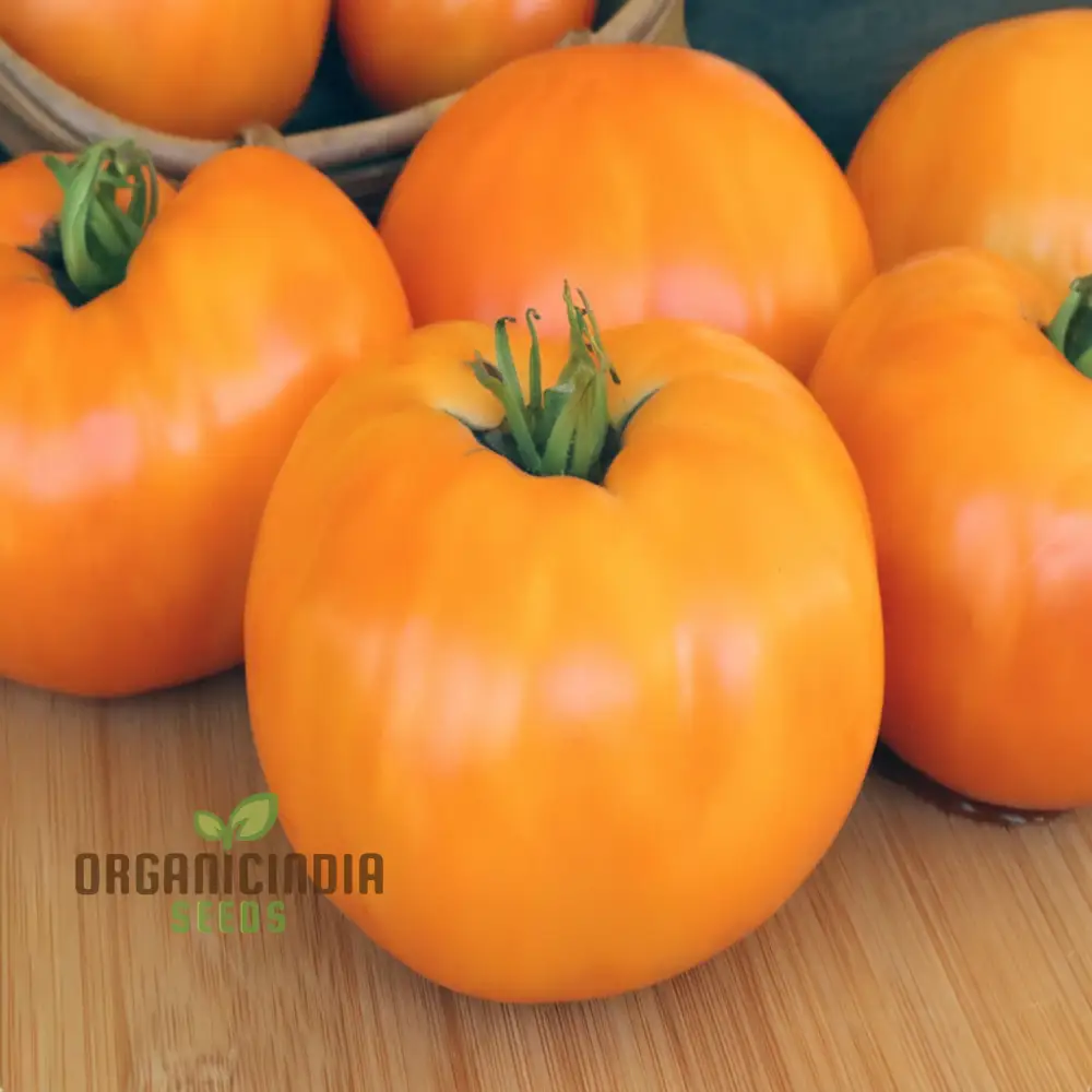 Yellow Kellogg's Tomato Vegetable Seeds - Grow Deliciously Sweet and Juicy Tomatoes - Image 3