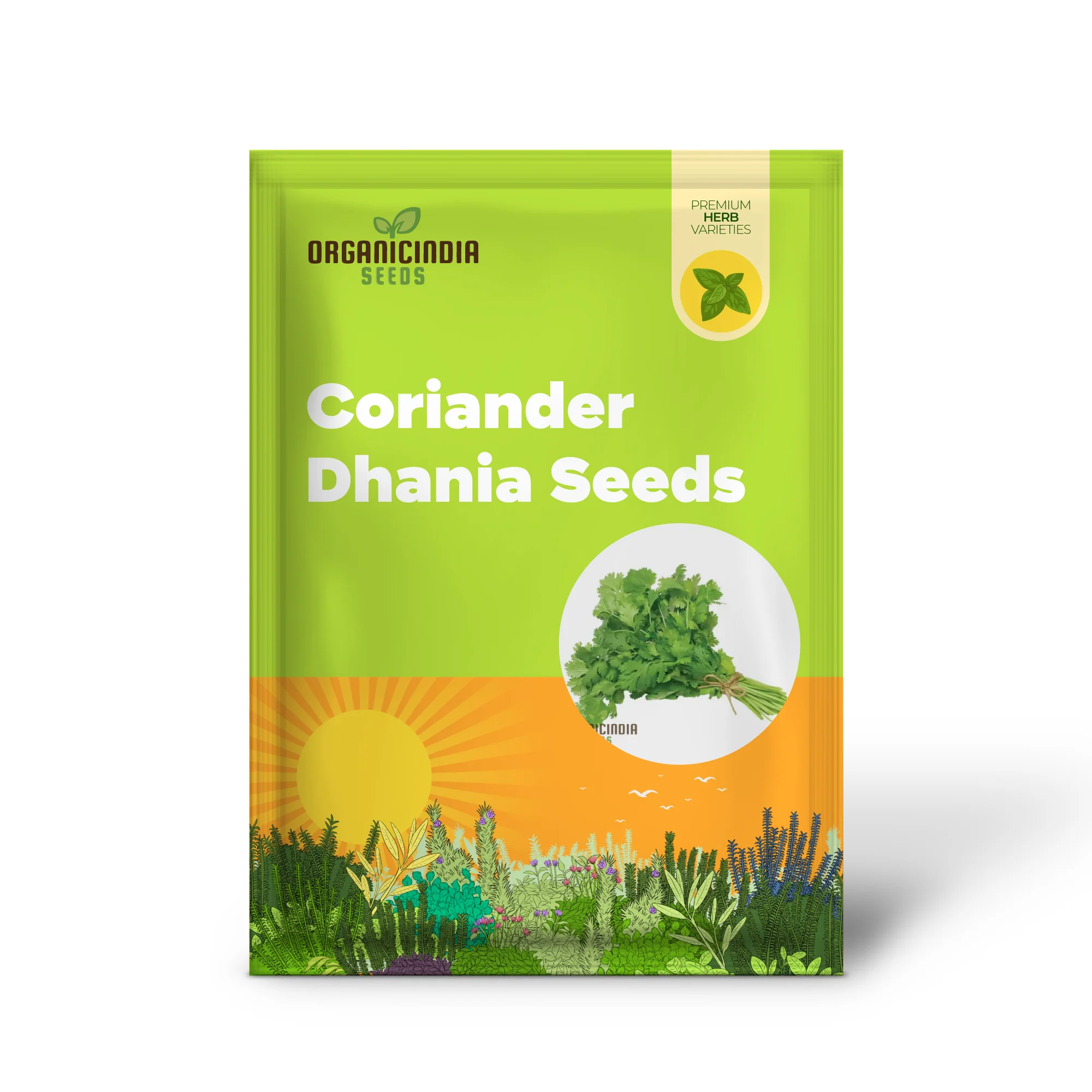 Coriander (Dhania) Seeds – Premium Kerbel Gewelltes Herb Seeds for Planting, Culinary & Garden Use - Image 2