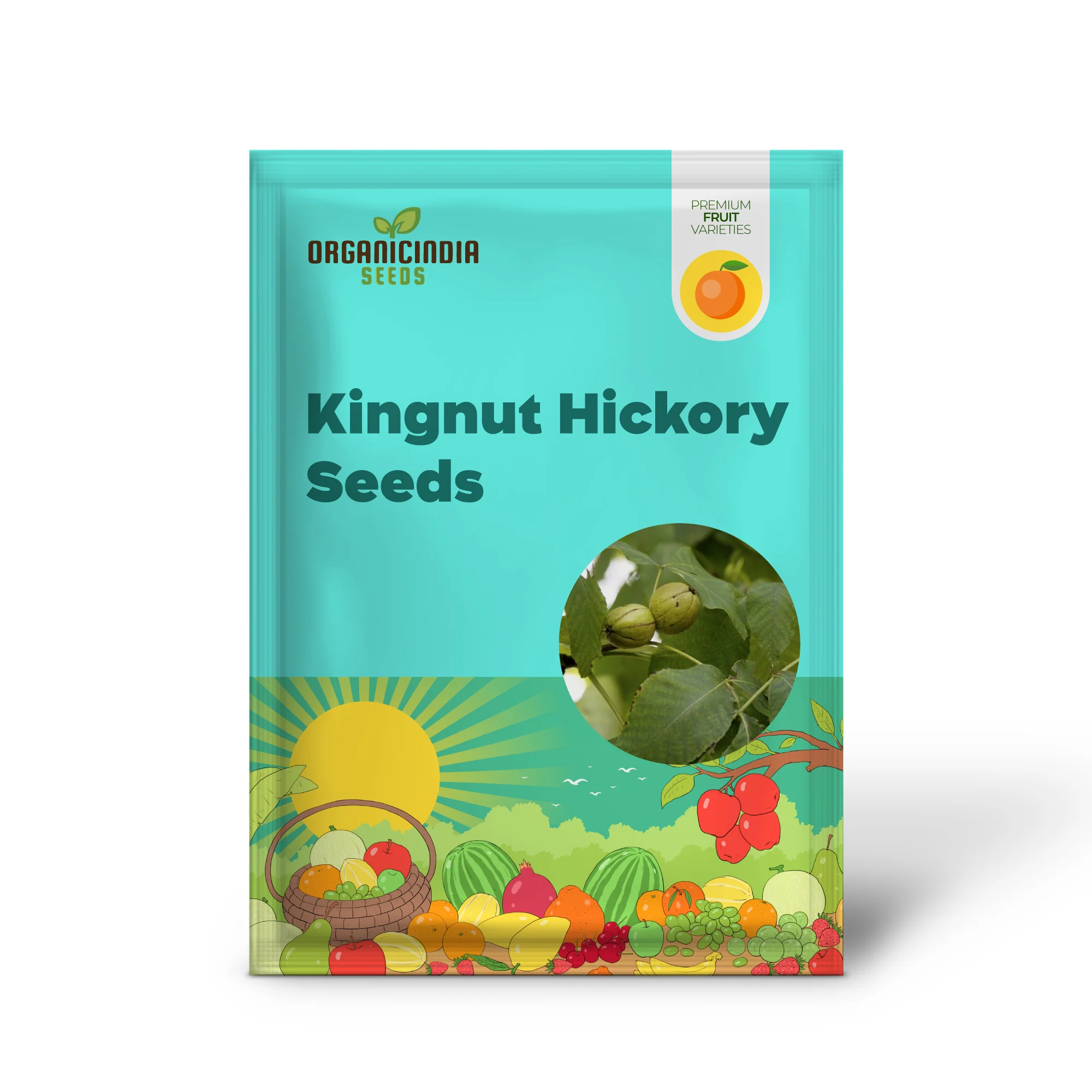 Kingnut Hickory (Carya laciniosa) – Seeds - Image 2