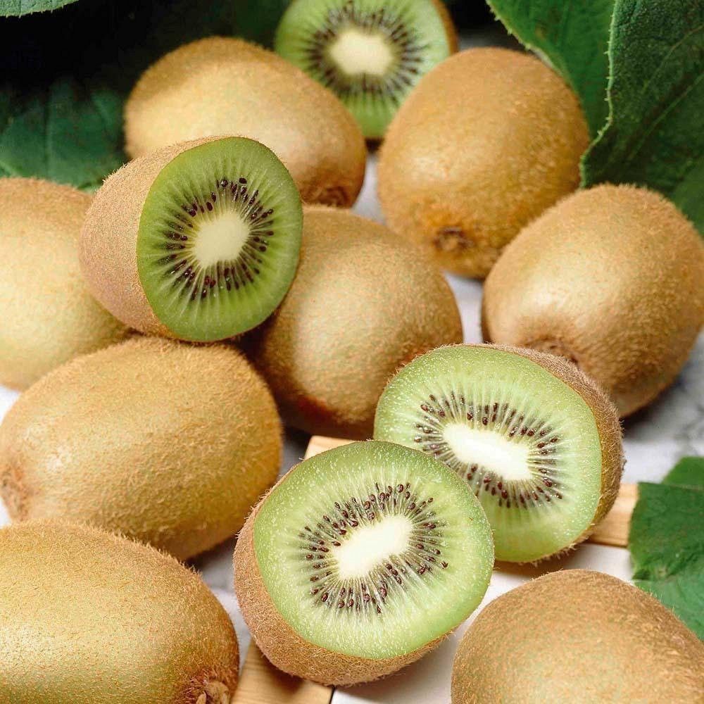 Kiwi Fruit Vine Seeds