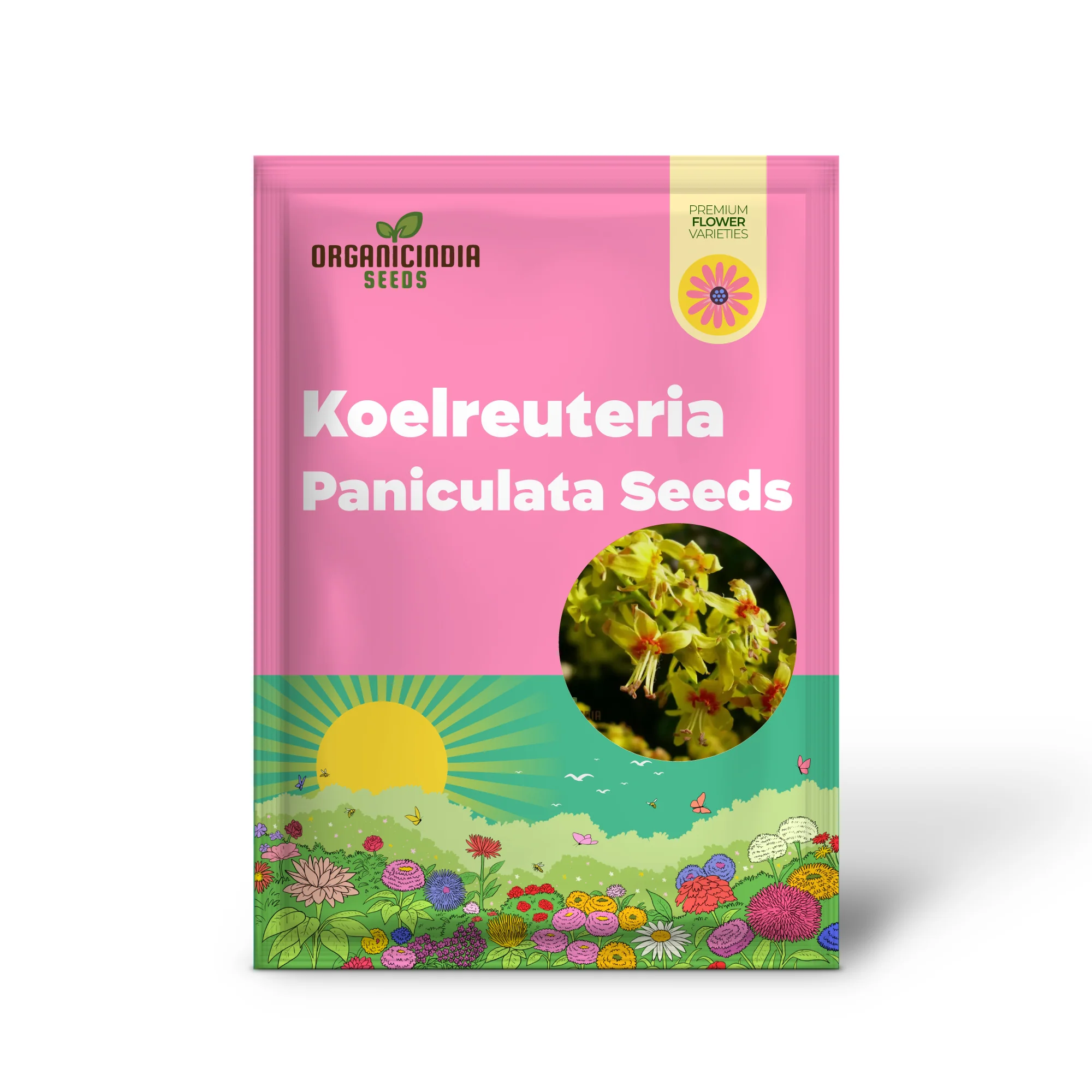 Koelreuteria Paniculata Seeds: Grow Stunning Golden Rain Trees with Ease and Enjoyment! - Image 2