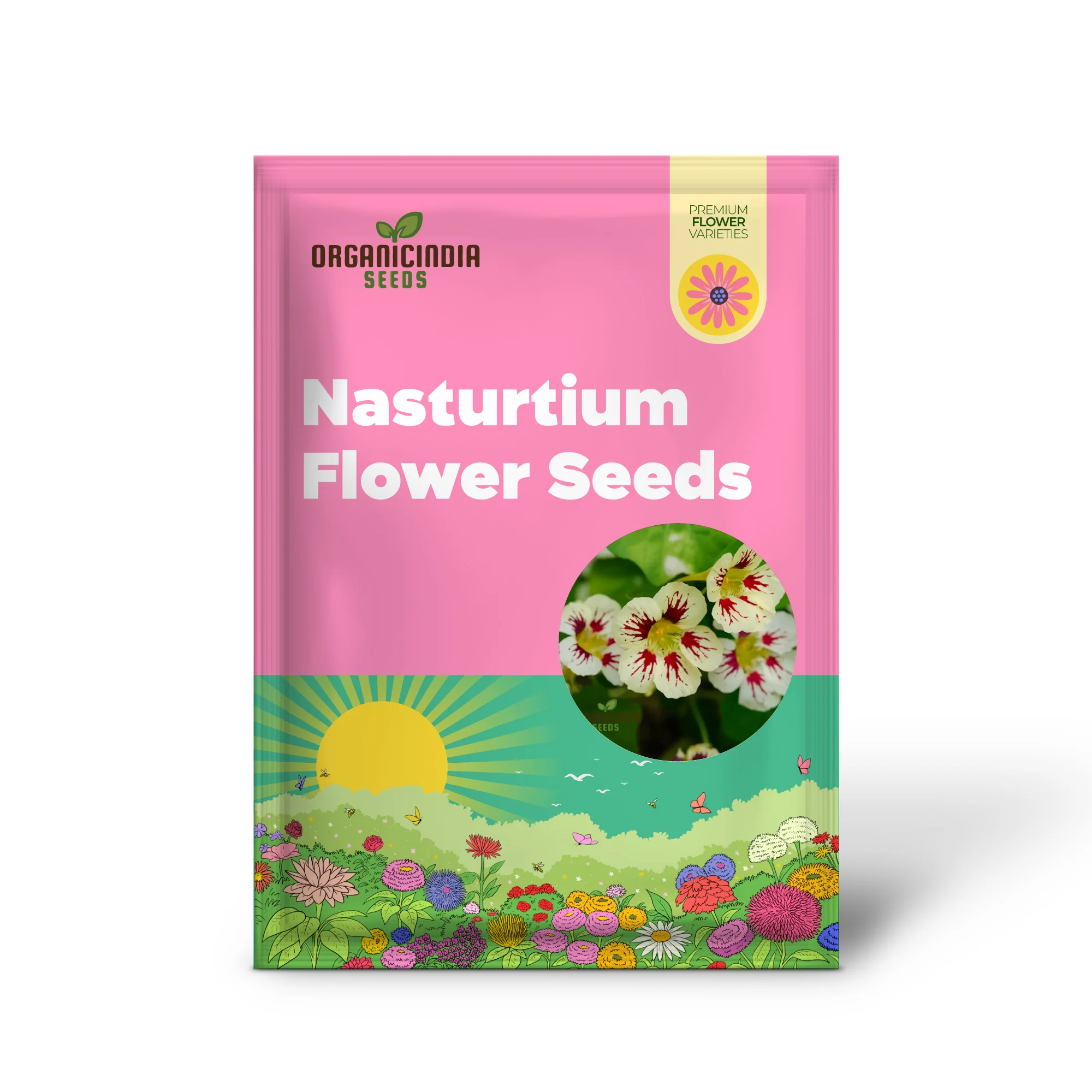 Lady Bird Cream Purple Nasturtium Flower Seeds For Planting, Expert Tips for Planting and Gardening - Image 2