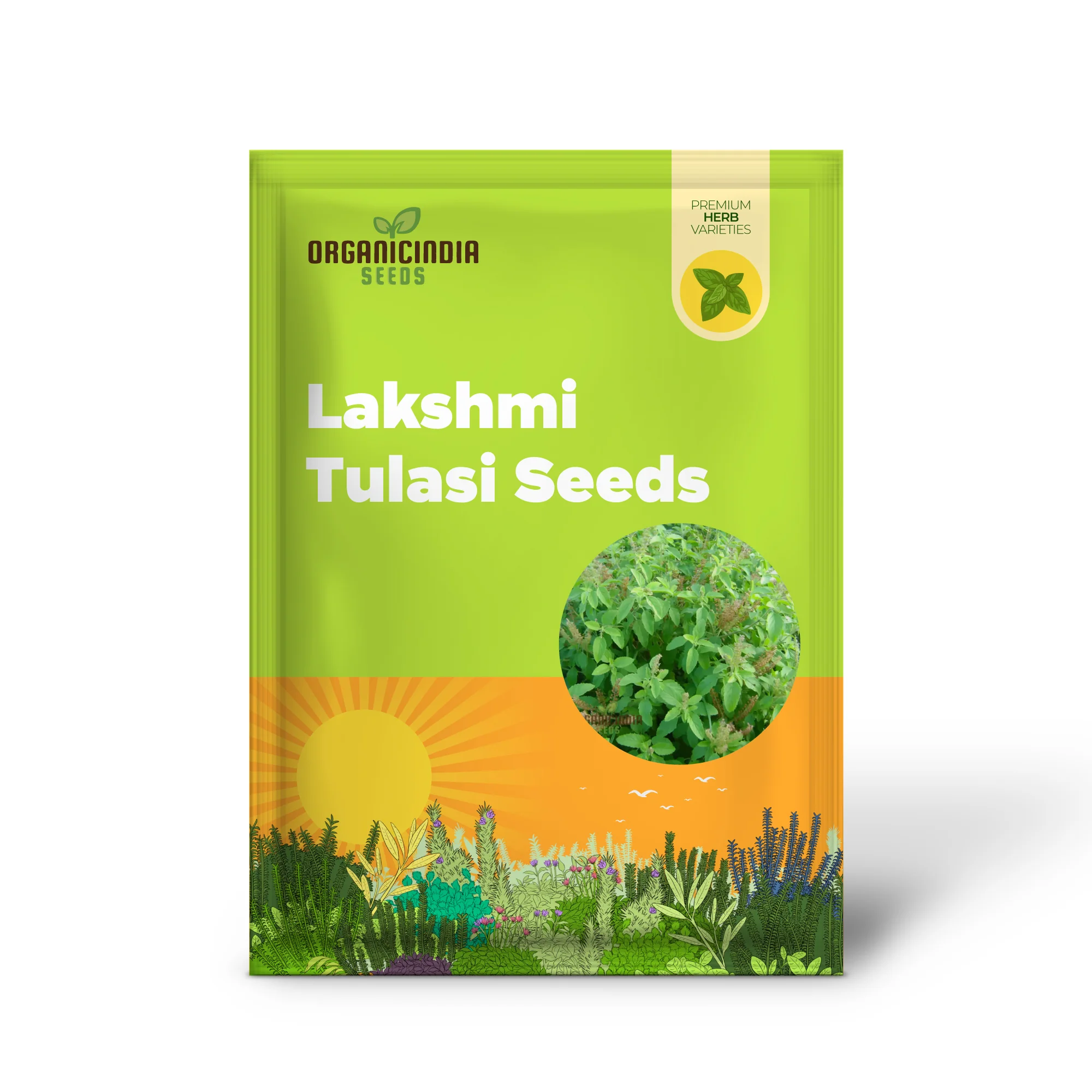 Lakshmi Tulasi Seeds or Basil Herb Seeds For Planting - Image 2