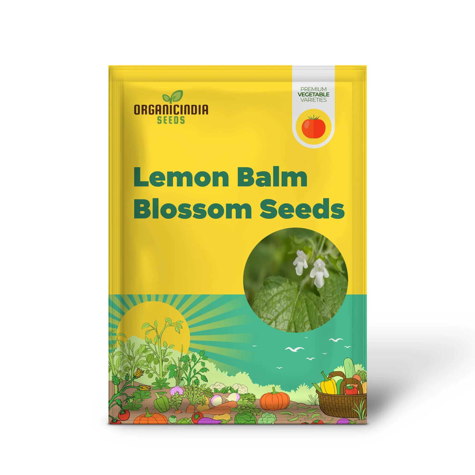 Lemon Balm Blossom Seeds - Fragrant and Flavorful Blooms for Your Garden - Image 2