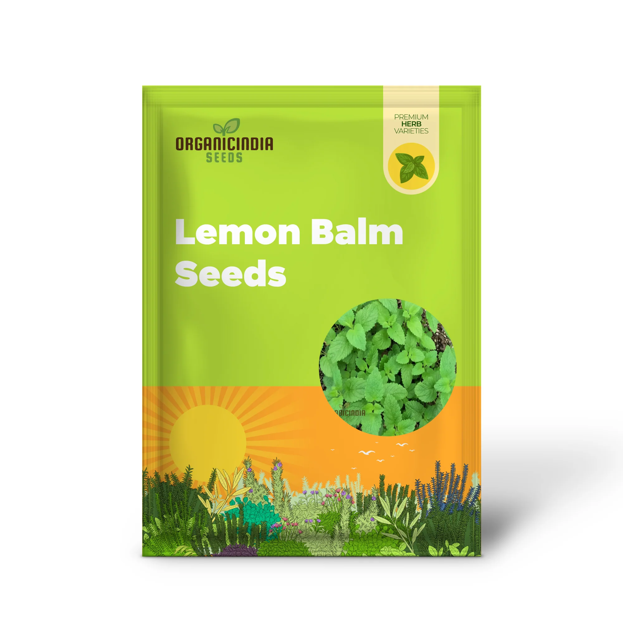 Lemon Balm (Melissa) Seeds – Refreshing, Aromatic Herb for Culinary & Medicinal Use - Image 2