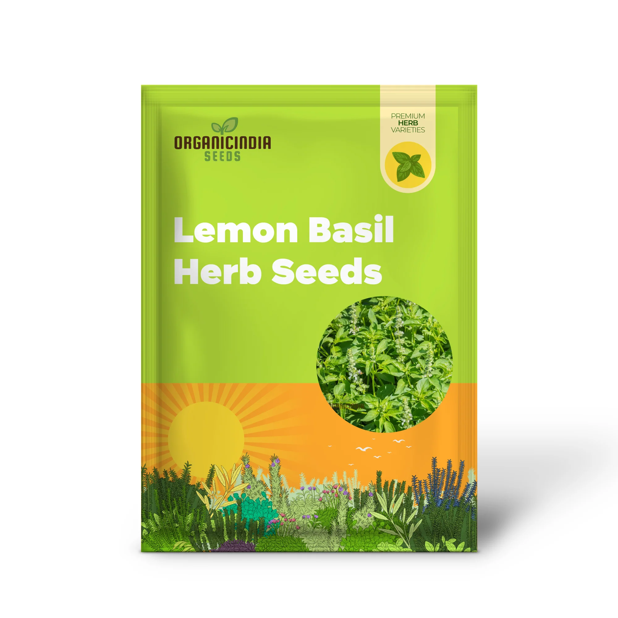 Lemon Basil Herb Seeds, Aromatic Heirloom Basil for Garden and Culinary Easy to Grow - Image 2
