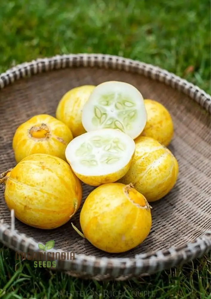 Lemon Cucumber Seeds for Planting