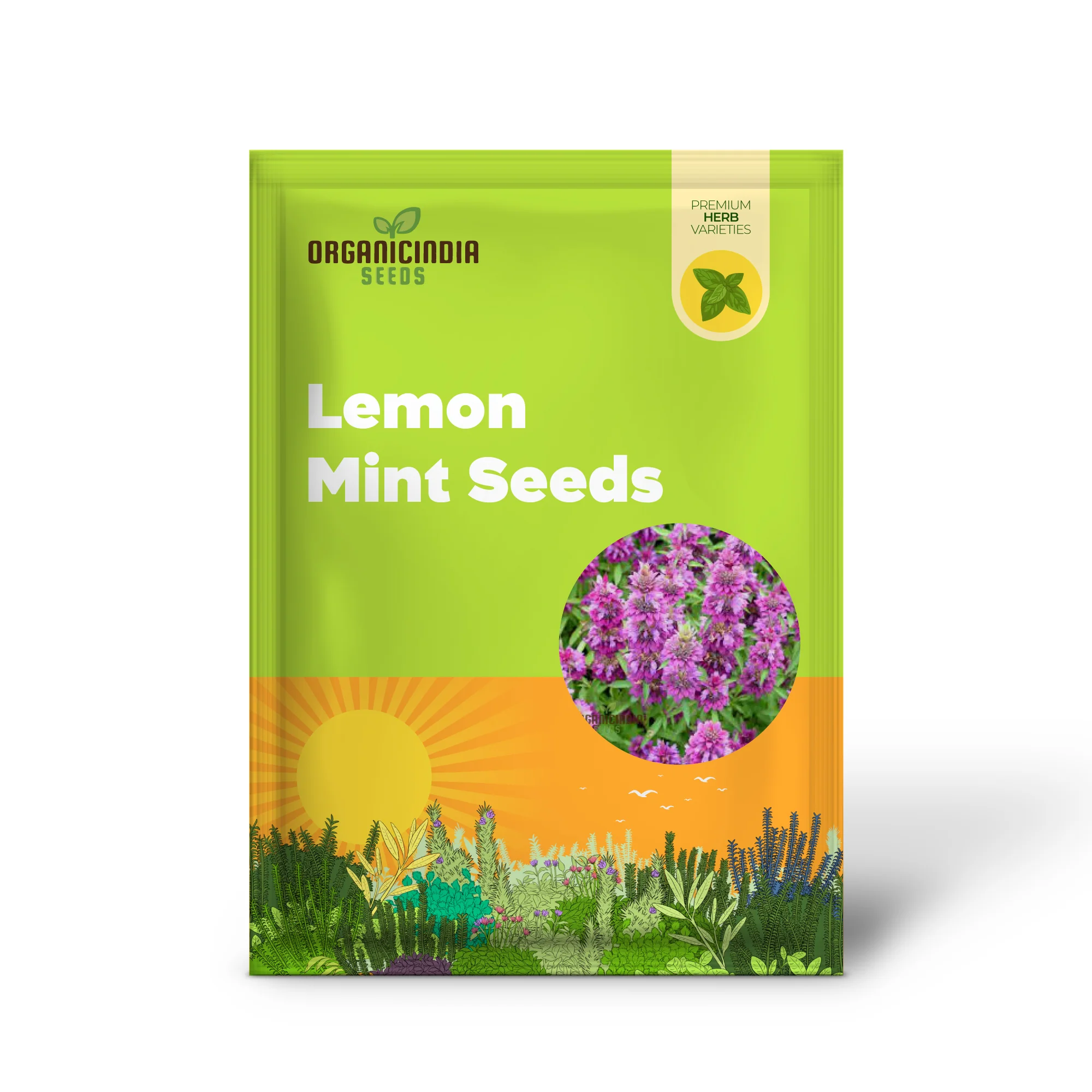 Lemon Mint Seeds for Planting – Fragrant, Fresh-Growing Mint Variety - Image 2