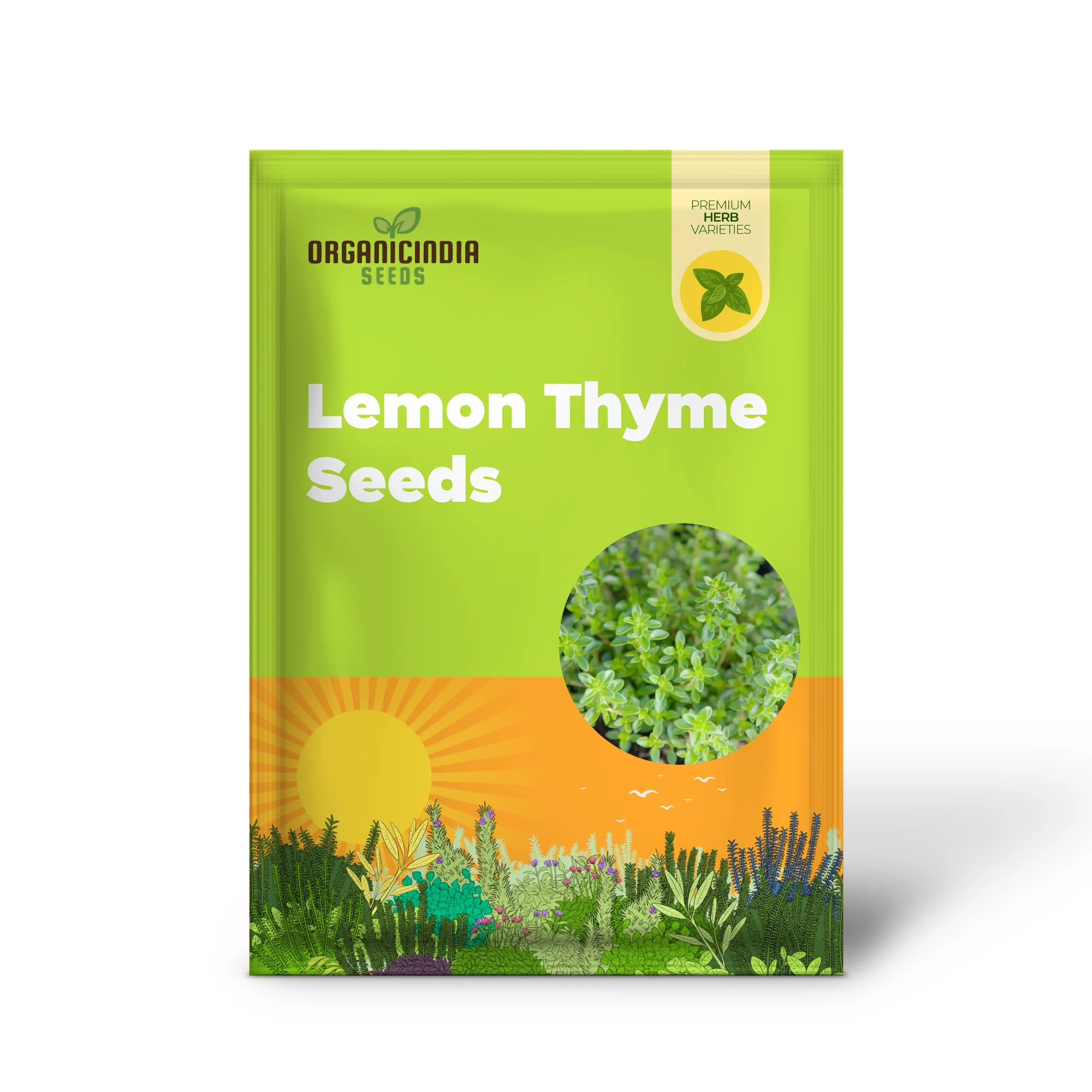 Lemon Thyme Seeds (Thymus Citriodorus) Fragrant, Evergreen, Deer and Rabbit Resistant, Drought Tolerant, Culinary and Ornamental Ground Cover for Patio, Container, Indoor Outdoor - Image 2