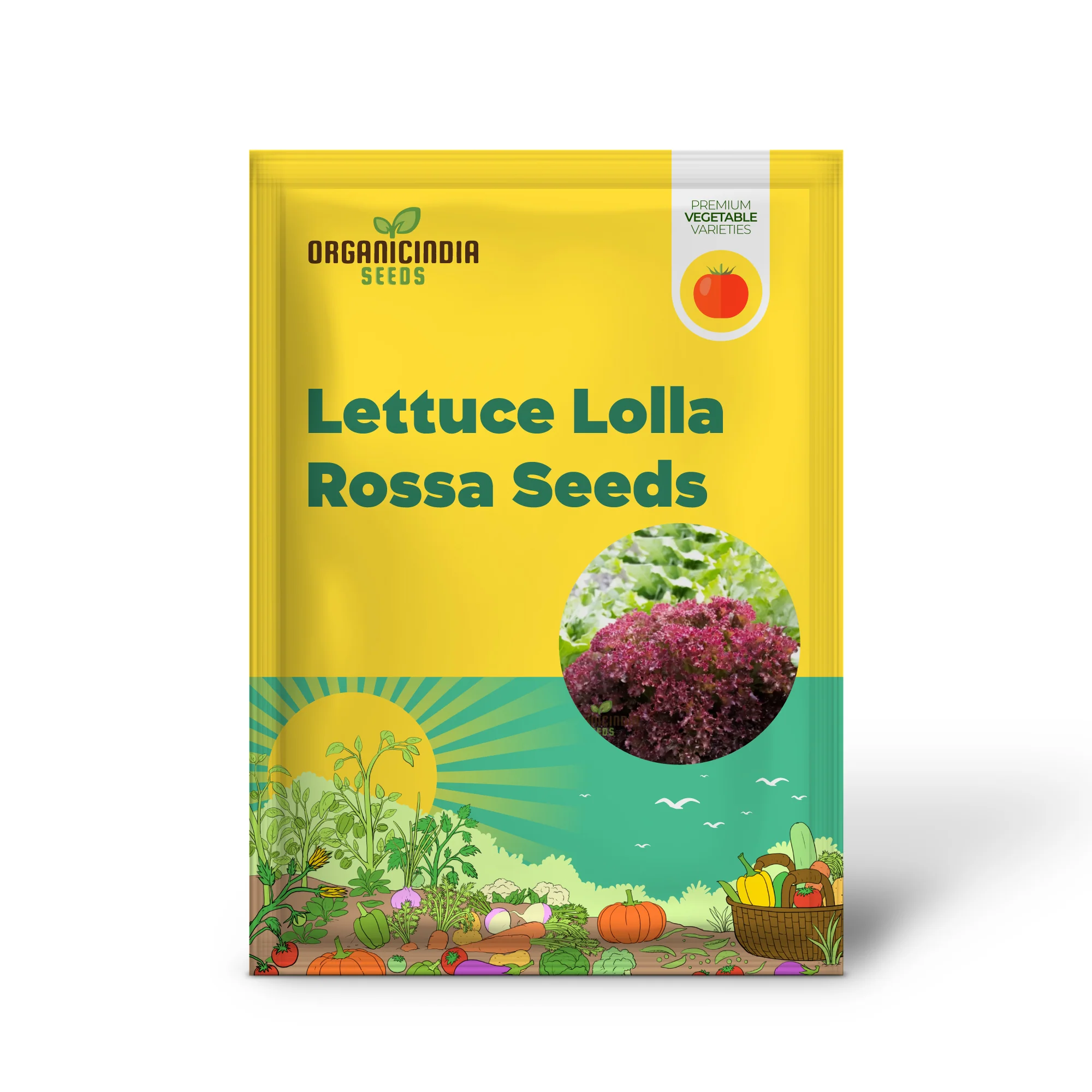 Lettuce Lolla Rossa Vegetable Seeds - Grow Crisp and Colorful Salad Greens - Image 2