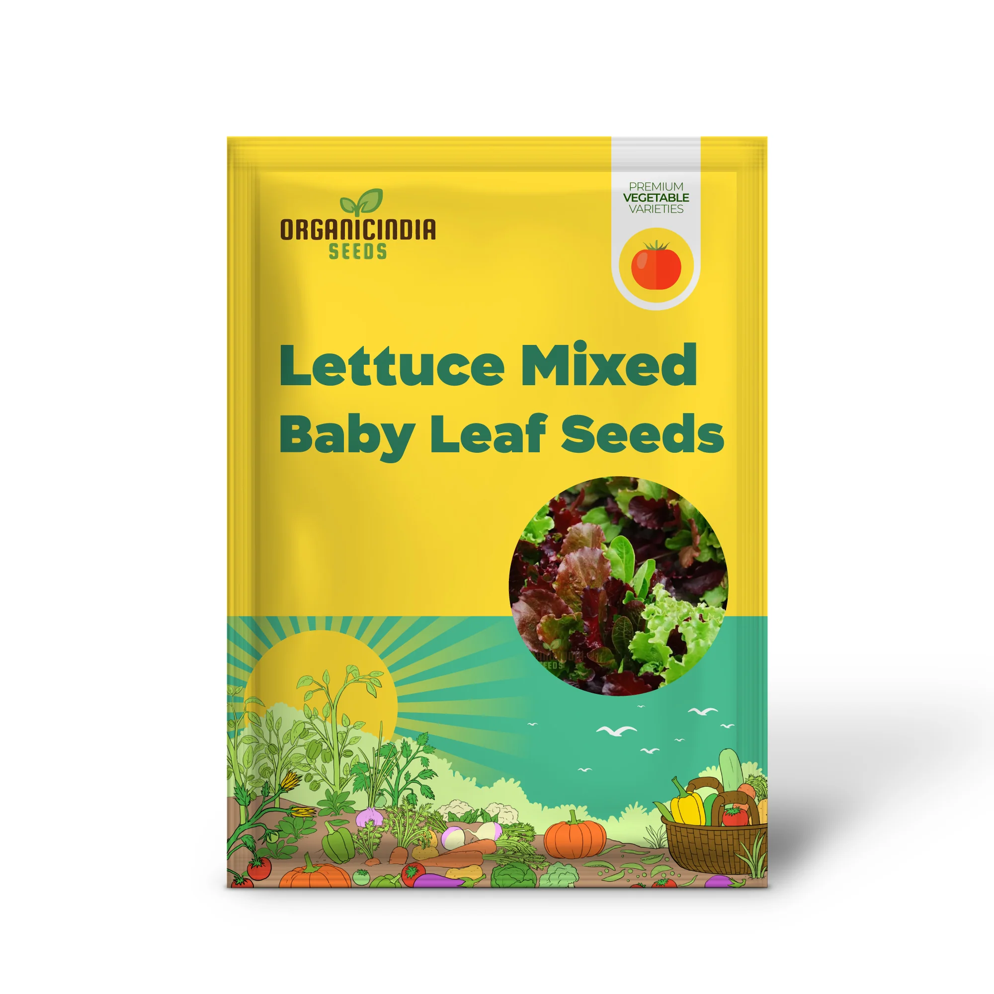 Lettuce Mixed Baby Leaf Vegetable Seeds for Planting, Premium Seeds for Home Gardeners - Image 2