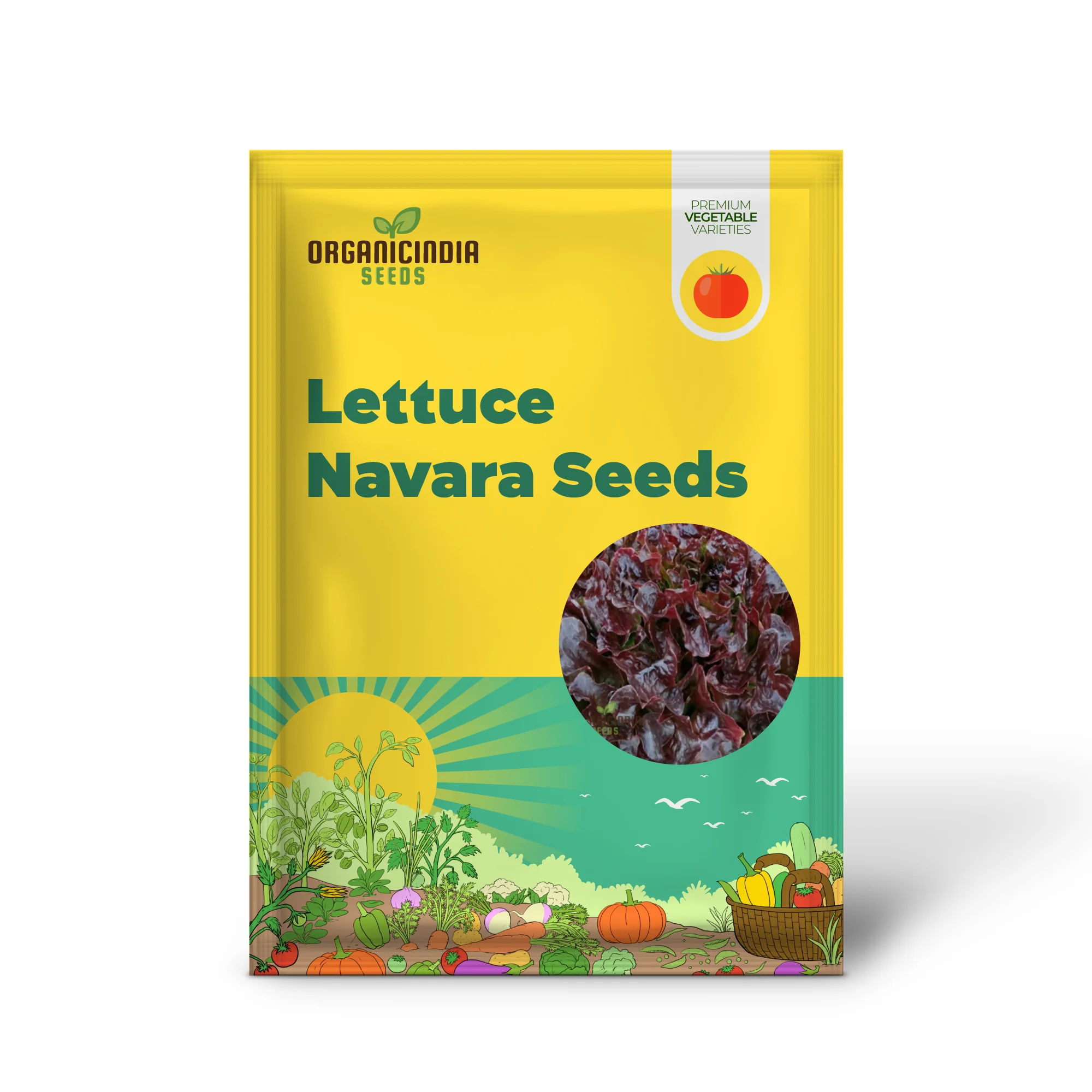 Lettuce - Navara (Split Pills) Vegetable Seeds for Planting, High-Quality Lettuce Navara Seeds, Easy to Grow for Your Vegetable Garden - Image 2