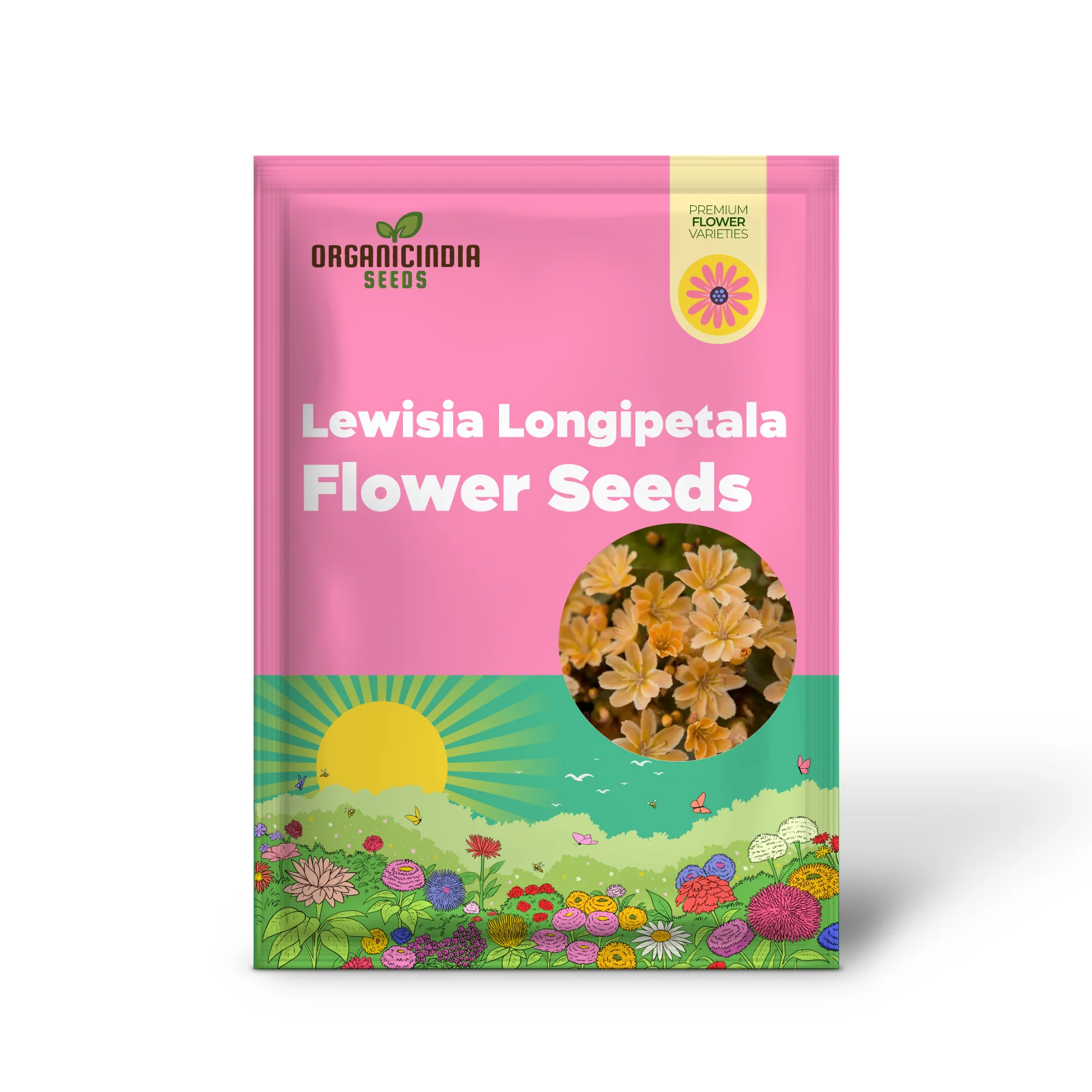 Lewisia Longipetala 'Little Mango' Seeds – Cultivate Vibrant Beauty and Long-Lasting Blooms in Your Garden! - Image 2