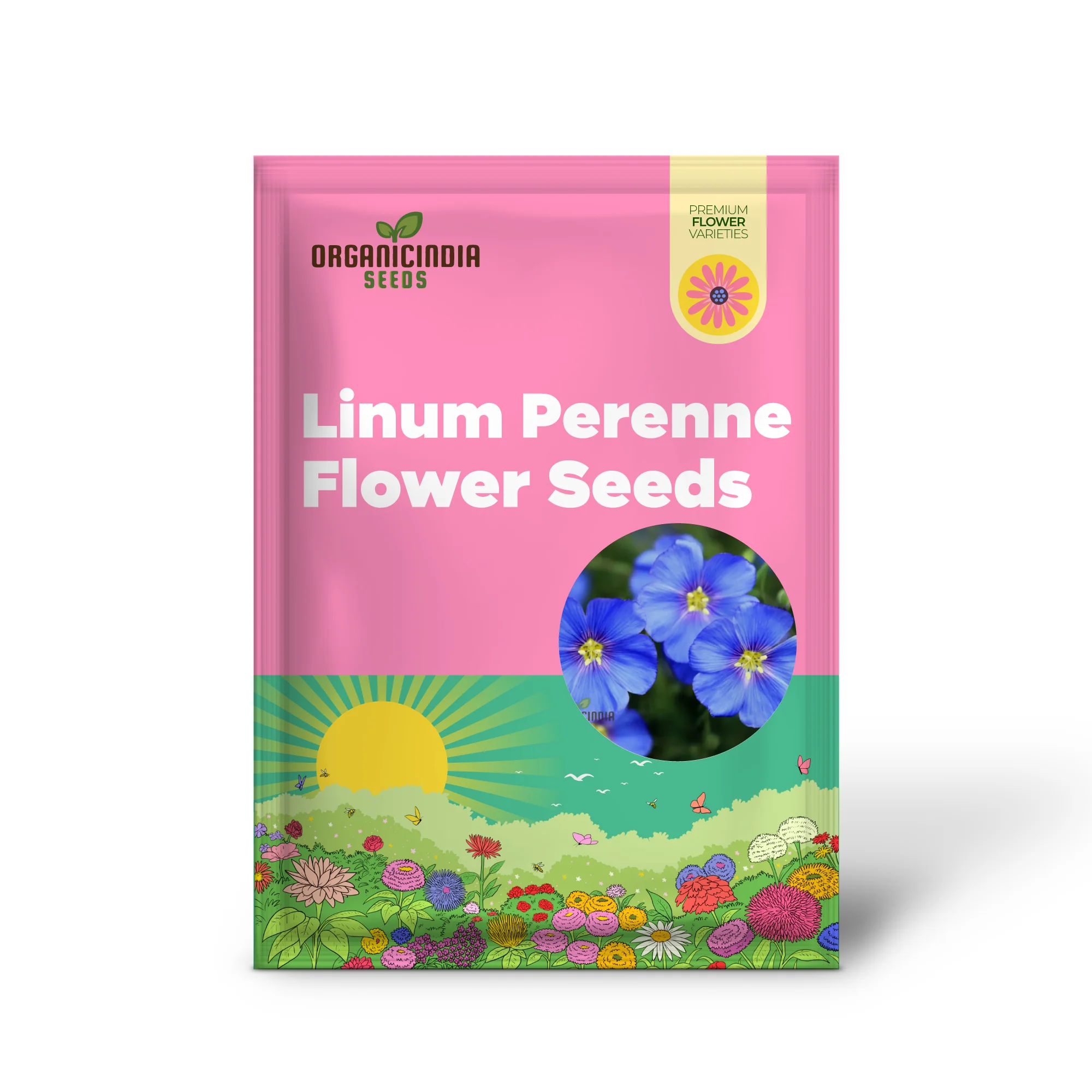 Linum Perenne (Perennial Flax) Flower Seeds, Cultivate Long-lasting Beauty in Your Garden with Expert Seed Planting and Gardening - Image 2