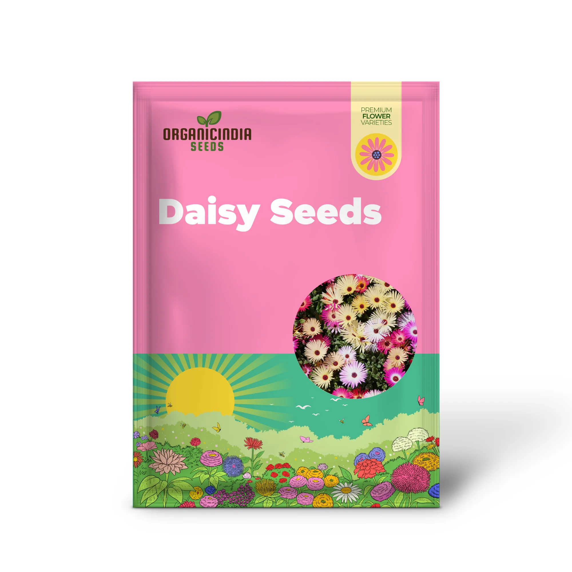 Livingstone Daisy Seeds – Mixed Colors, Drought-Tolerant Succulent Ground Cover for Gardens - Image 2