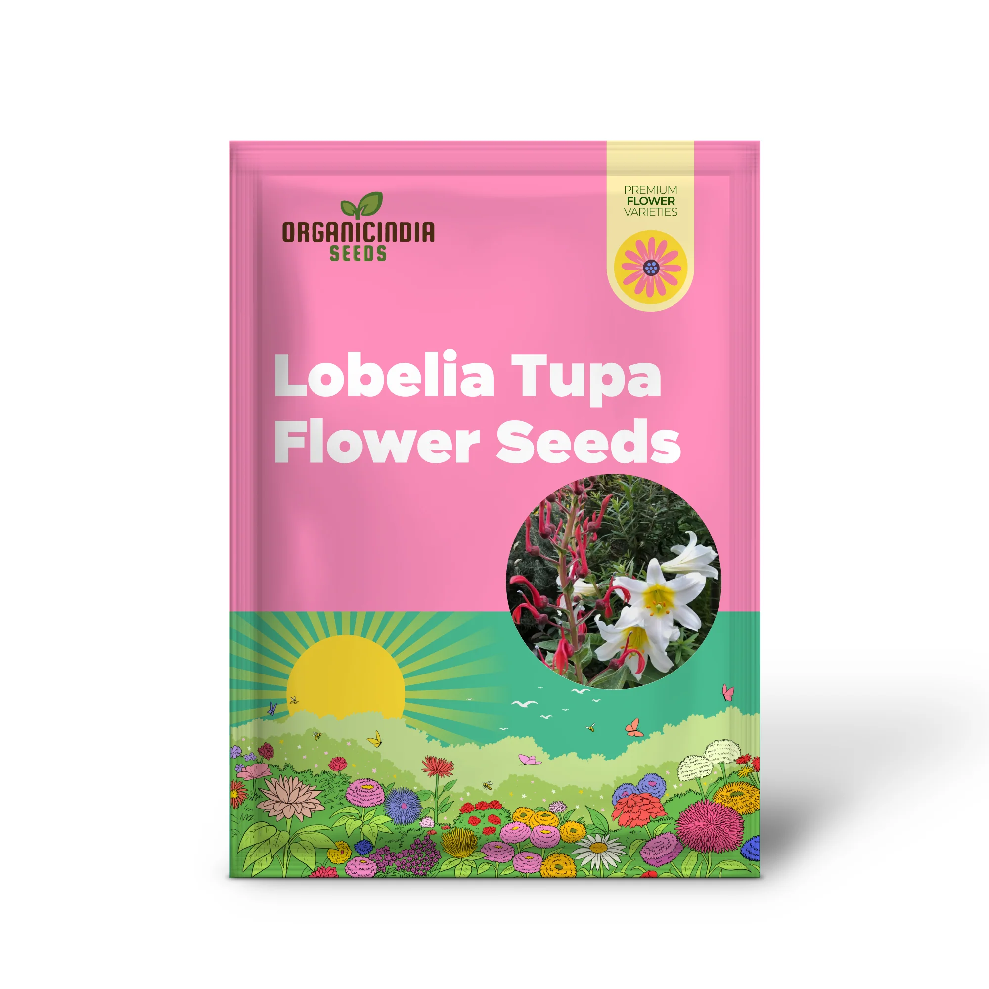 Lobelia Tupa Flower Seeds for Planting, Premium Quality Gardening Seeds - Image 2