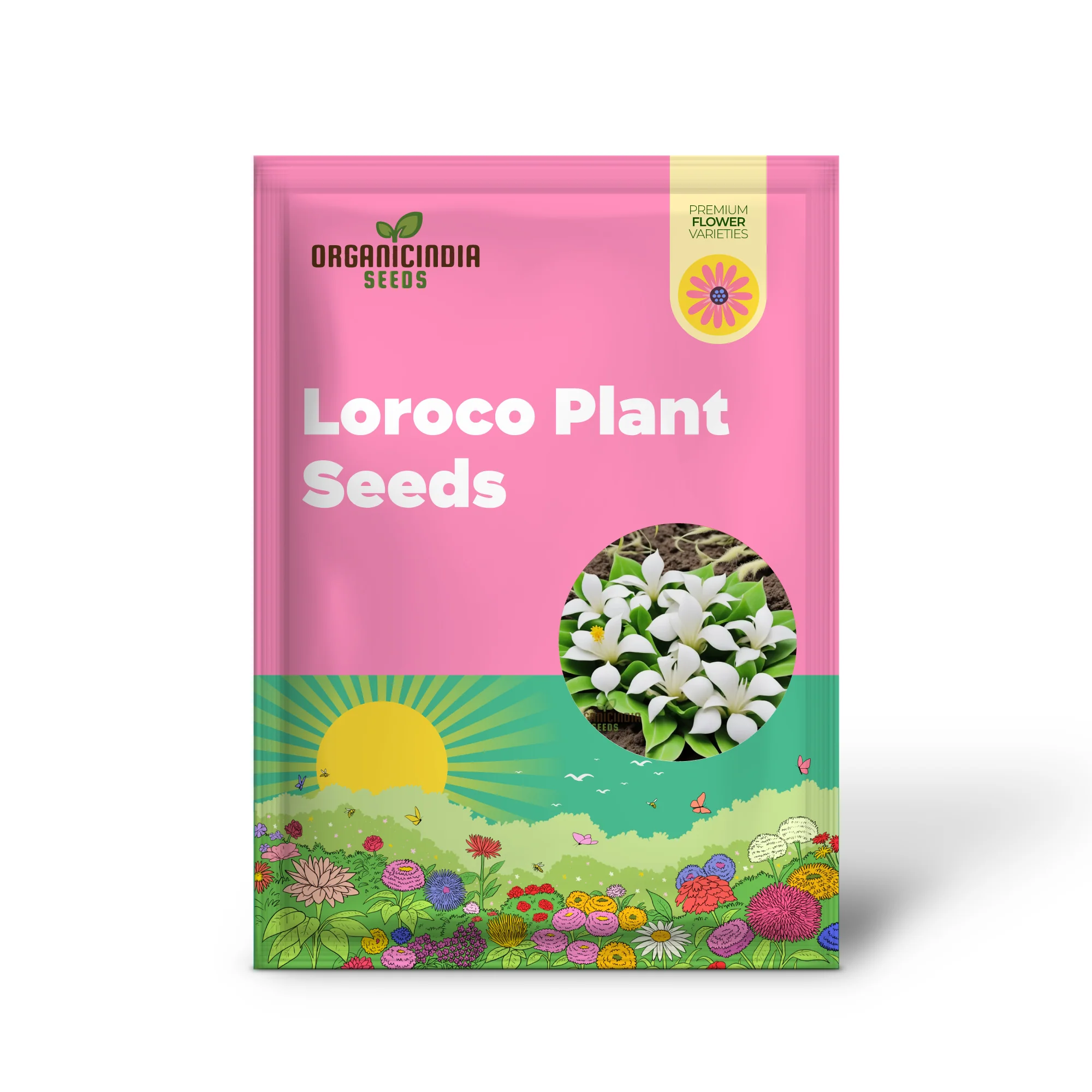 Loroco Plant Seeds, White Loroco Central American Flower Seeds - Image 2