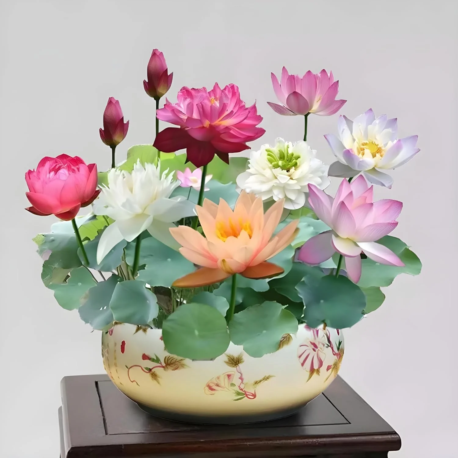 Lotus Flower Seeds – Stunning Resilient Blooms for Gardening - Image 8