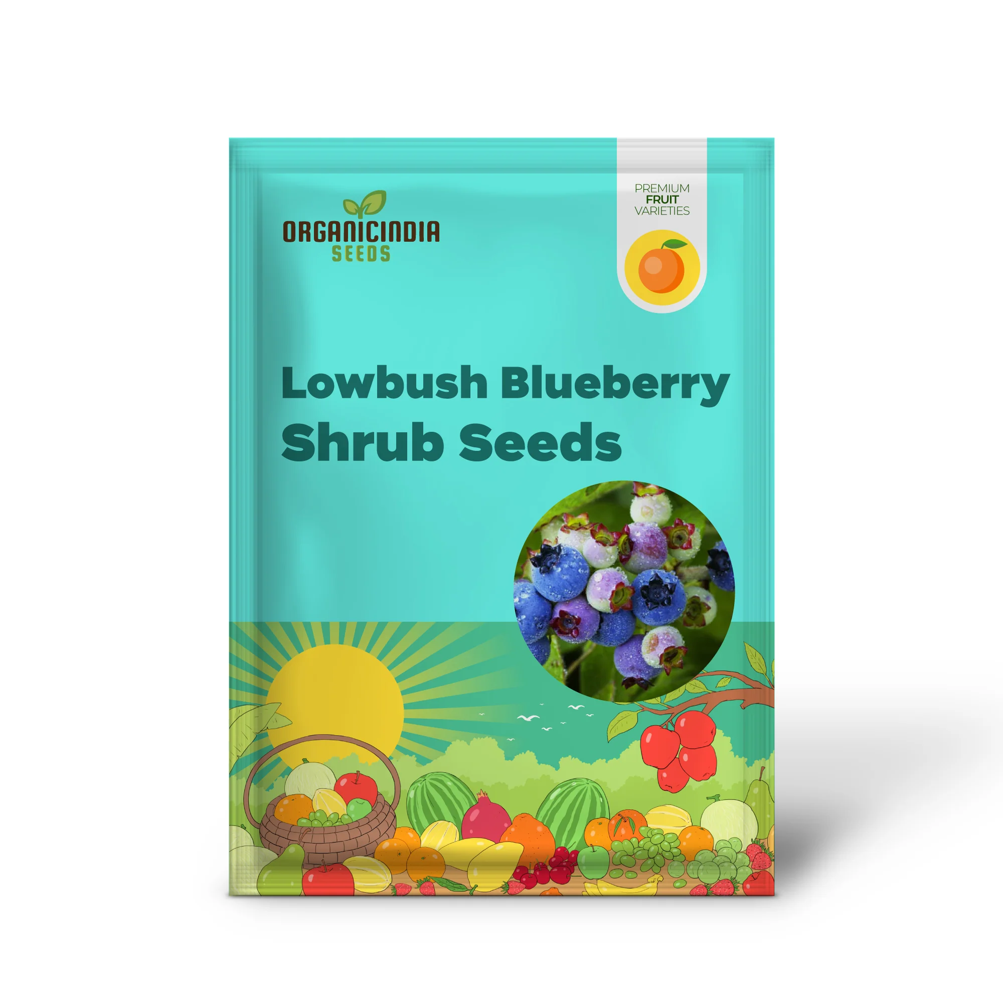Lowbush Blueberry Shrub Seeds - Image 2